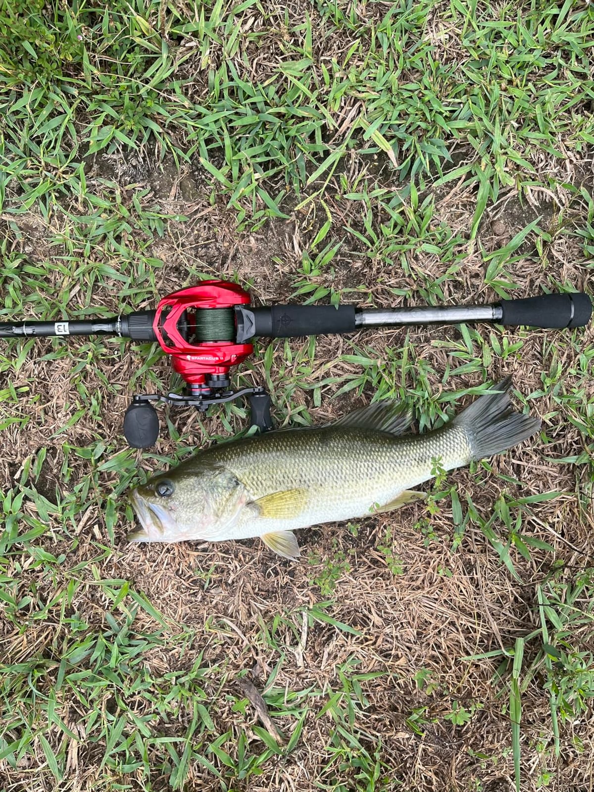 KastKing Spartacus II Baitcasting Fishing Reels with 7.2:1 Gear Ratio | Max Drag: 17.6 lb, 7+1 BB, 6 oz, Graphite Frame, 5-Button Magnetic Brake, Ultralight and Super Smooth customer photo 1