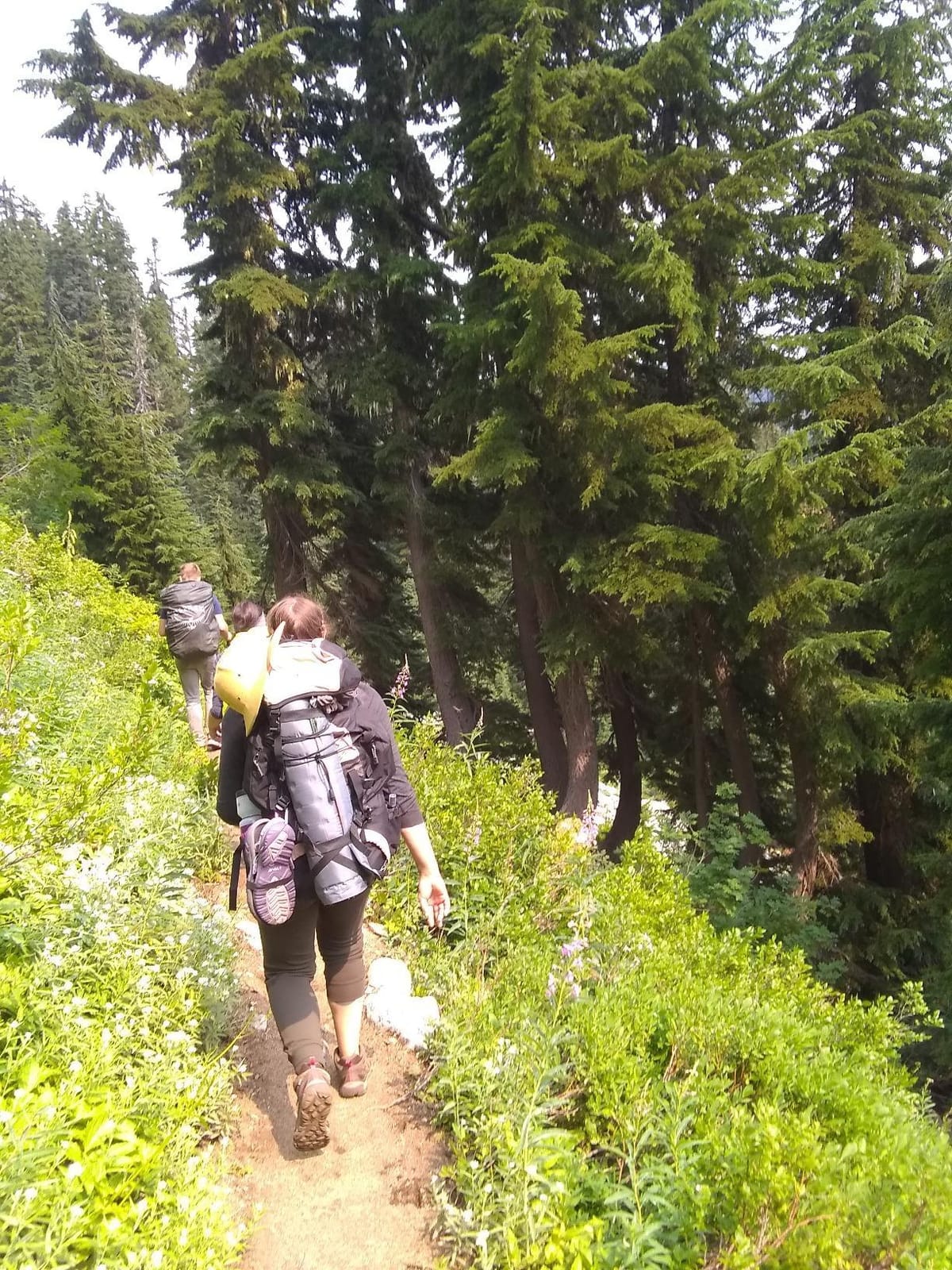 Teton 55L Scout Internal Frame Backpack for Hiking, Camping, Backpacking, Travel, Rain Cover Included customer photo 1