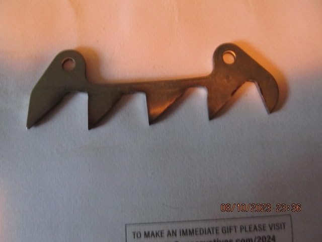 EGO POWER+ Chain Saw, 16