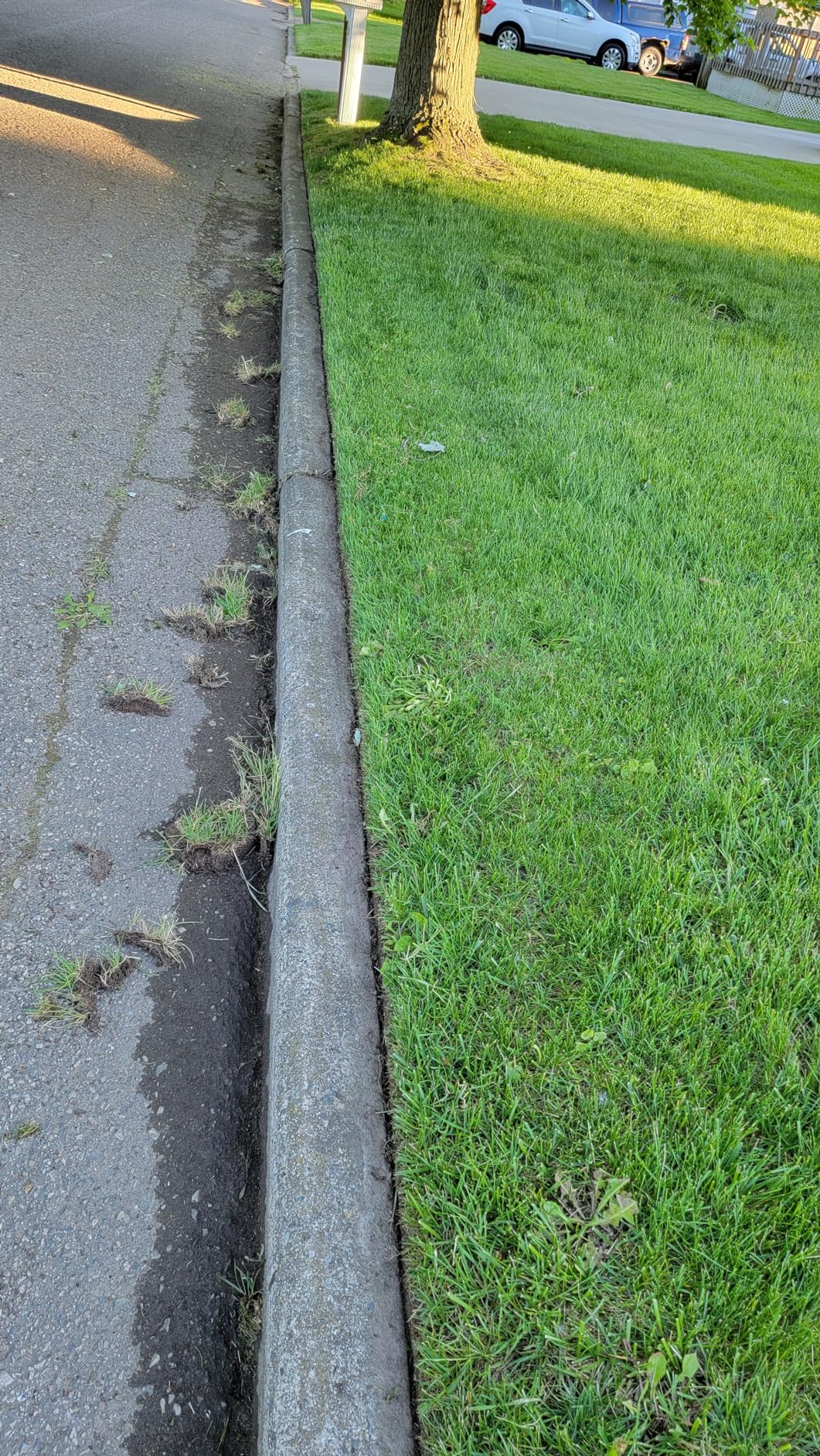 Greenworks 40V 8 in Cordless Electric Lawn Edger, 4.0 Ah Battery, Charger customer photo 1
