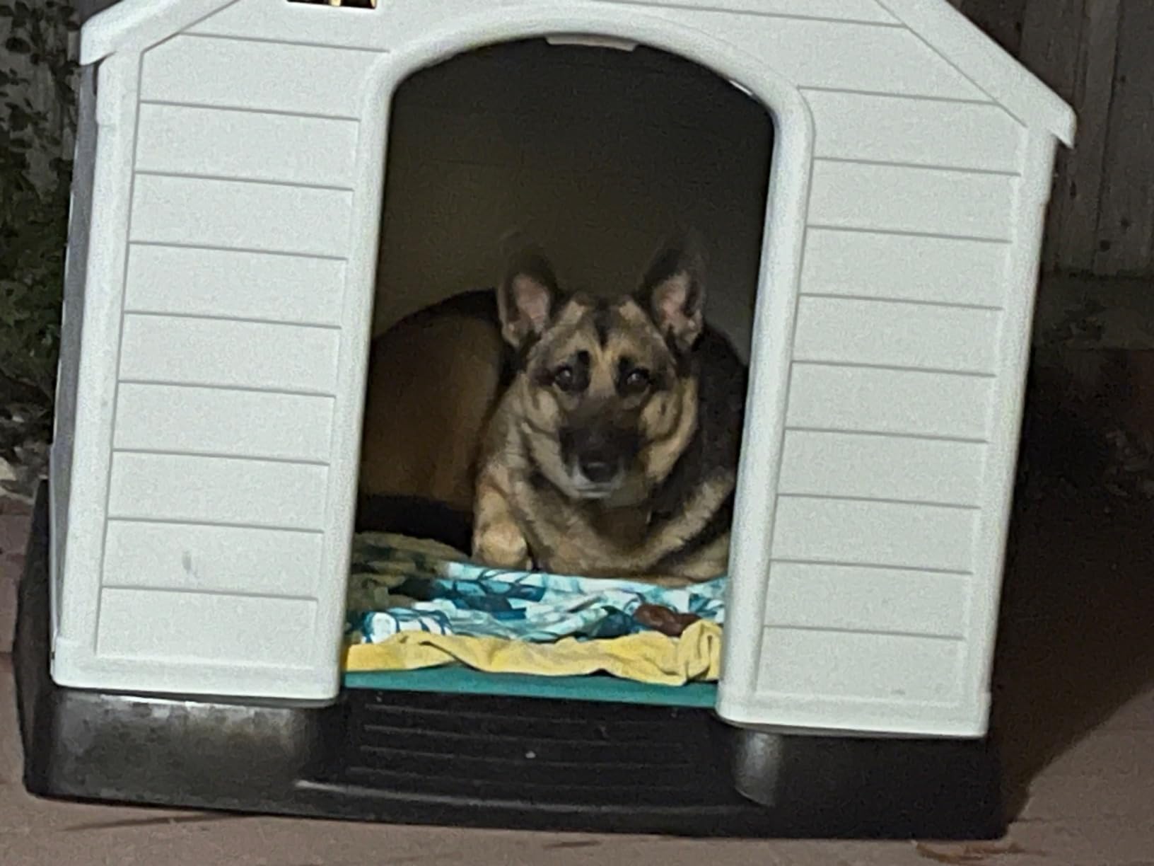 LEMBERI Durable Waterproof Plastic Dog House for Small to Large Sized Dogs, Indoor Outdoor Doghouse Puppy Shelter with Elevated Floor, Easy to Assemble (Gray, 39