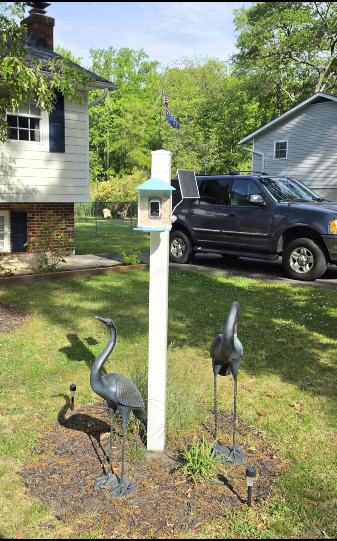 NETVUE by Birdfy Smart Bird Feeder with 2K HD AI Camera, Solar Powered | Auto Record & Notification, Accurate AI Bird ID, Free Cloud Storage, Share with 20+ Members, Work with Alexa customer photo 2