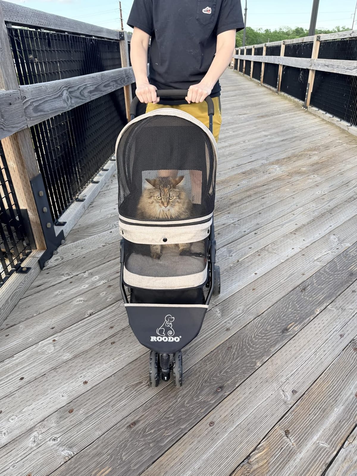 ROODO 3 Wheel Pet Stroller Best Lightweight Foldable Compact Portable Jogger All Terrain Travel Pet Gear Puppy Kitty Stroller for up to 30lbs Medium Small Dogs and Cats(Green) customer photo 1