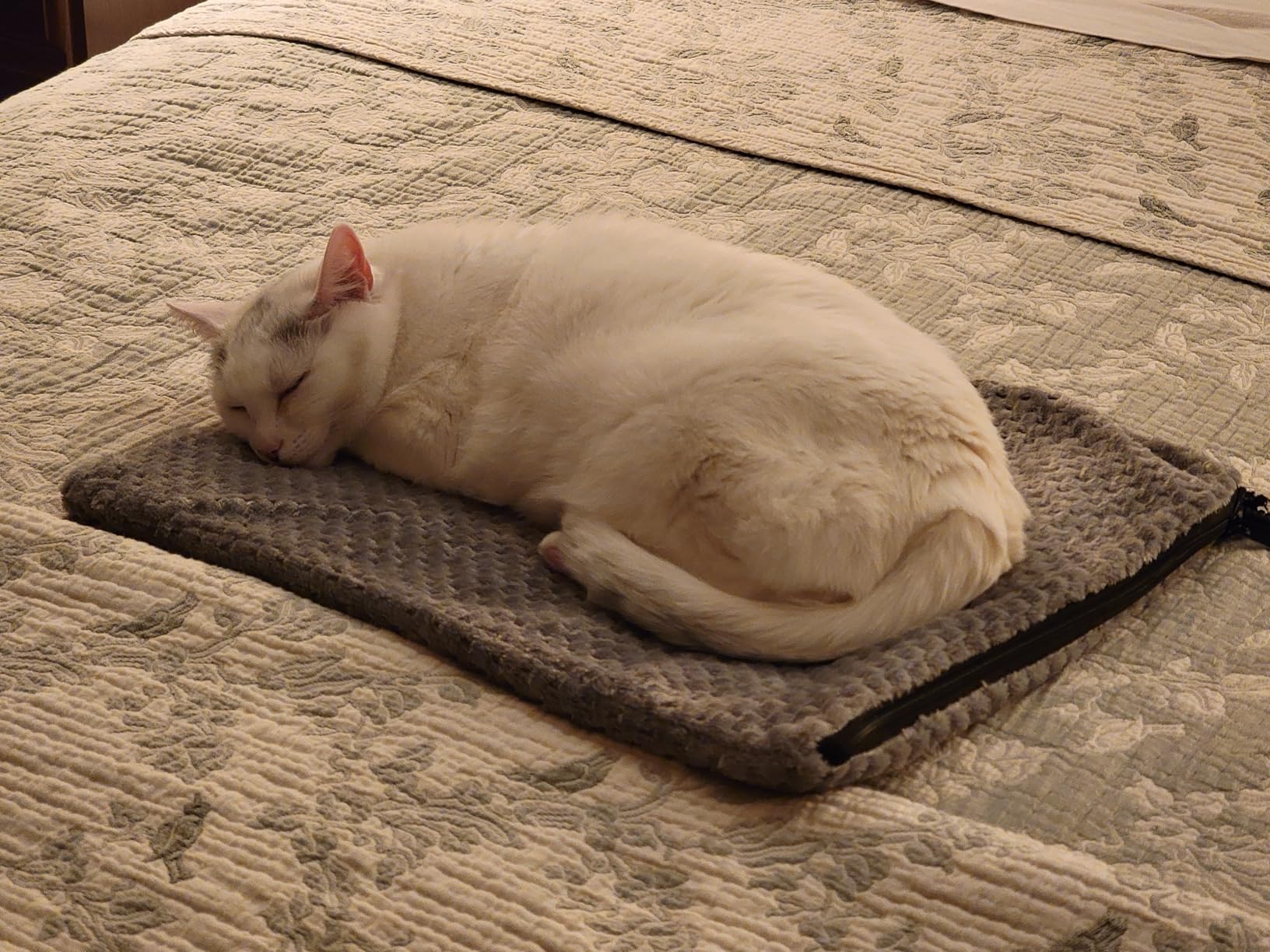 Heated Cat Bed, Waterproof Adjustable Temperature Dog Cat Heating Pad with Timer (S: 18