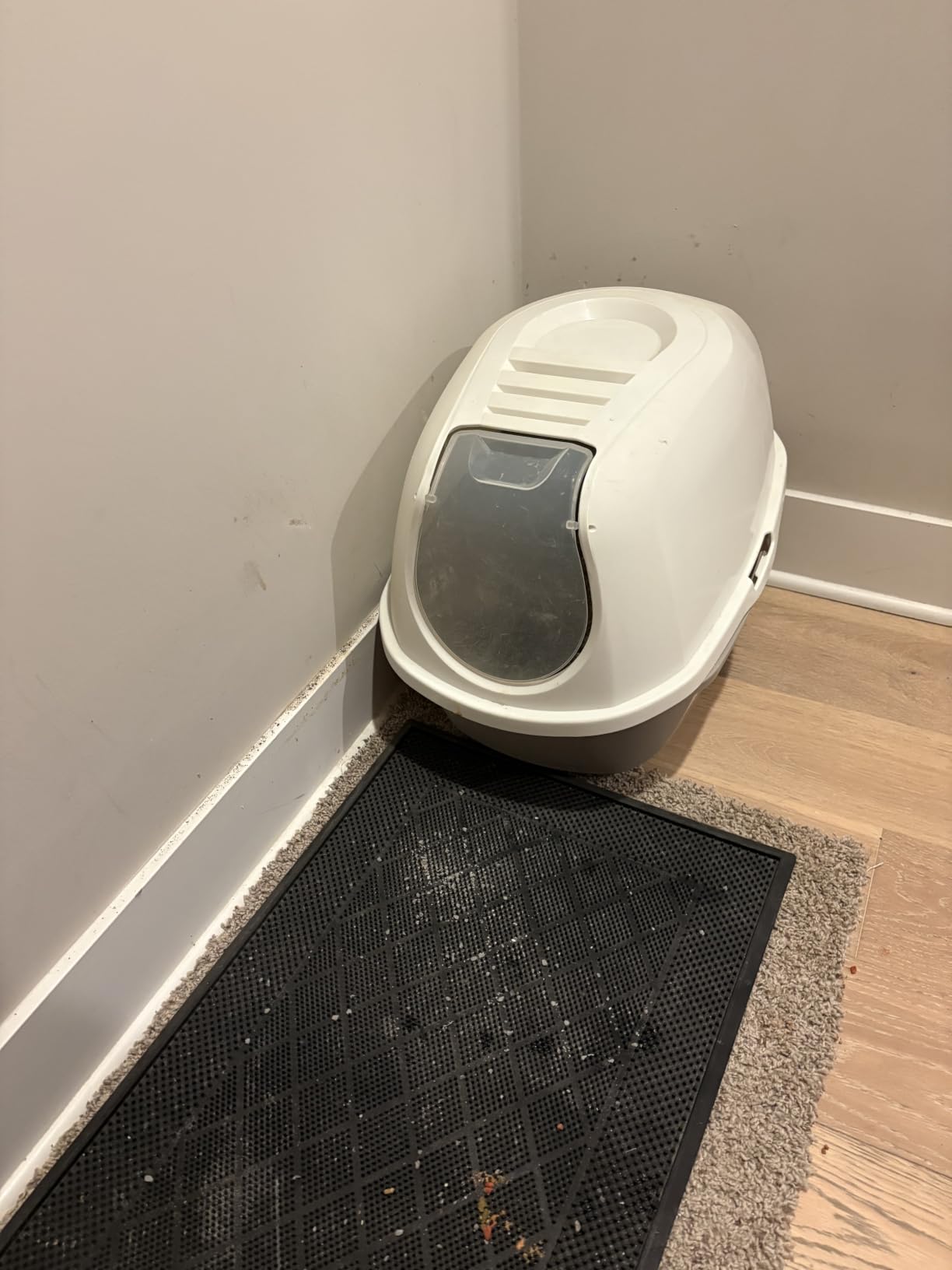 Litter-Robot 4 by Whisker, White | Automatic, Self-Cleaning Cat Litter Box, Helps Reduce Litter Box Odors, Works with Any Clumping Litter customer photo 1