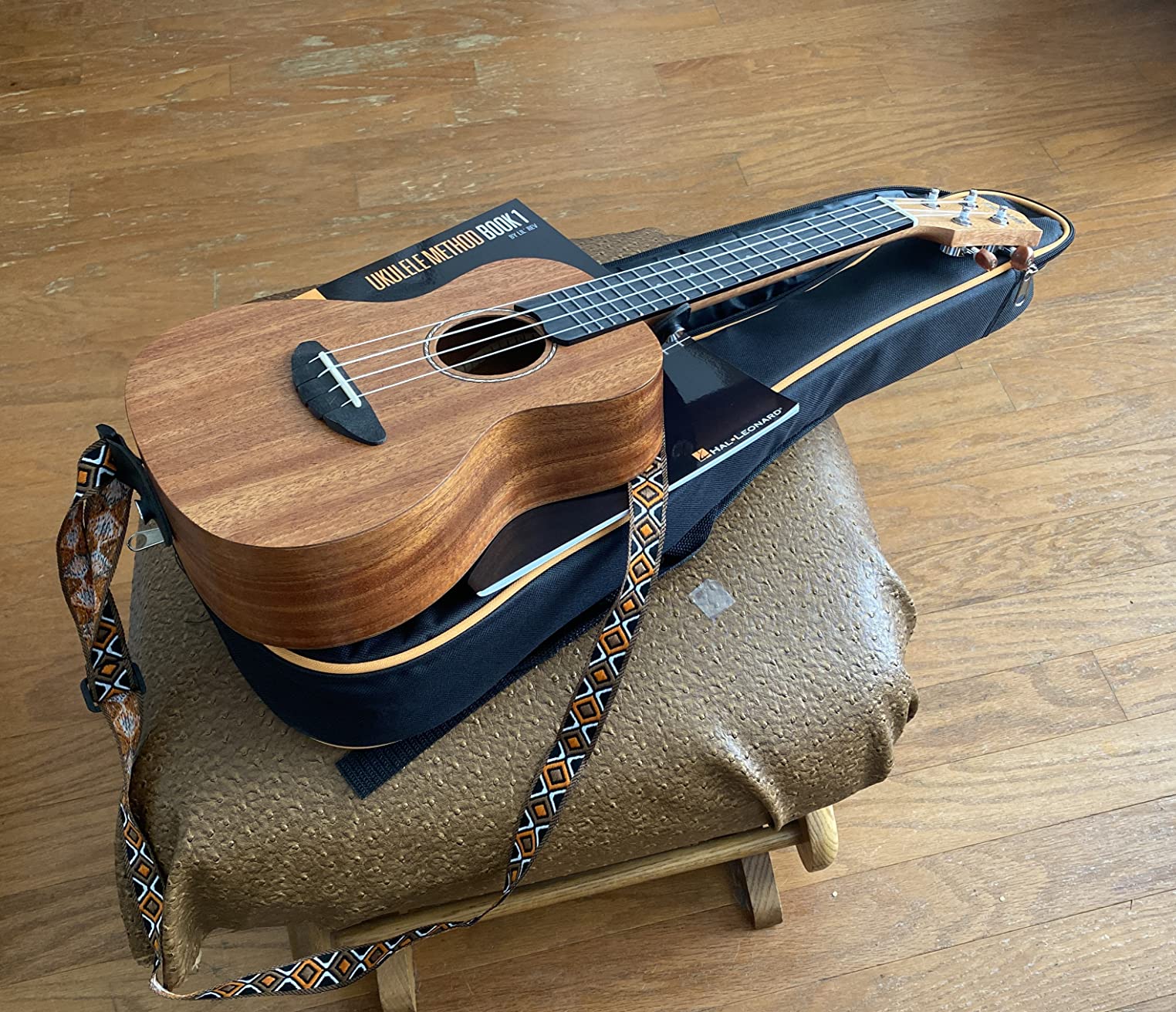 Donner Soprano Ukulele Mahogany 21 inch Ukelele Beginner Kit Online Lesson Gig Bag Strap Nylon String Tuner Picks Cloth DUS-1 Ukalalee Set Christmas Gift customer photo 1