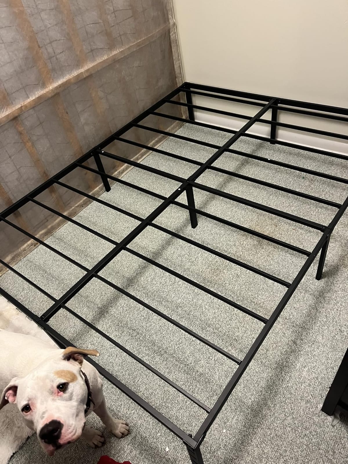 NEW JETO Metal Bed Frame, Queen Size Bed Frame with Storage Space, 14 Inch | Heavy Duty Sturdy Mattress Foundation, Easy Assembly, No Box Spring Needed, Black customer photo 1