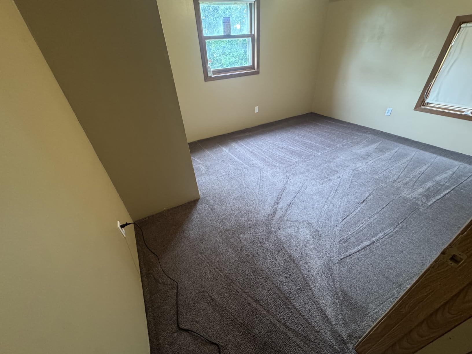 BISSELL ProHeat 2X Revolution Pet Pro Plus Carpet Cleaner, 3588F customer photo 1