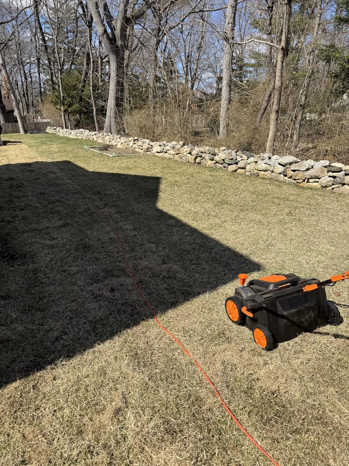 WEN DT1516 16-Inch 15-Amp 2-in-1 Electric Dethatcher and Scarifier with Collection Bag customer photo 1