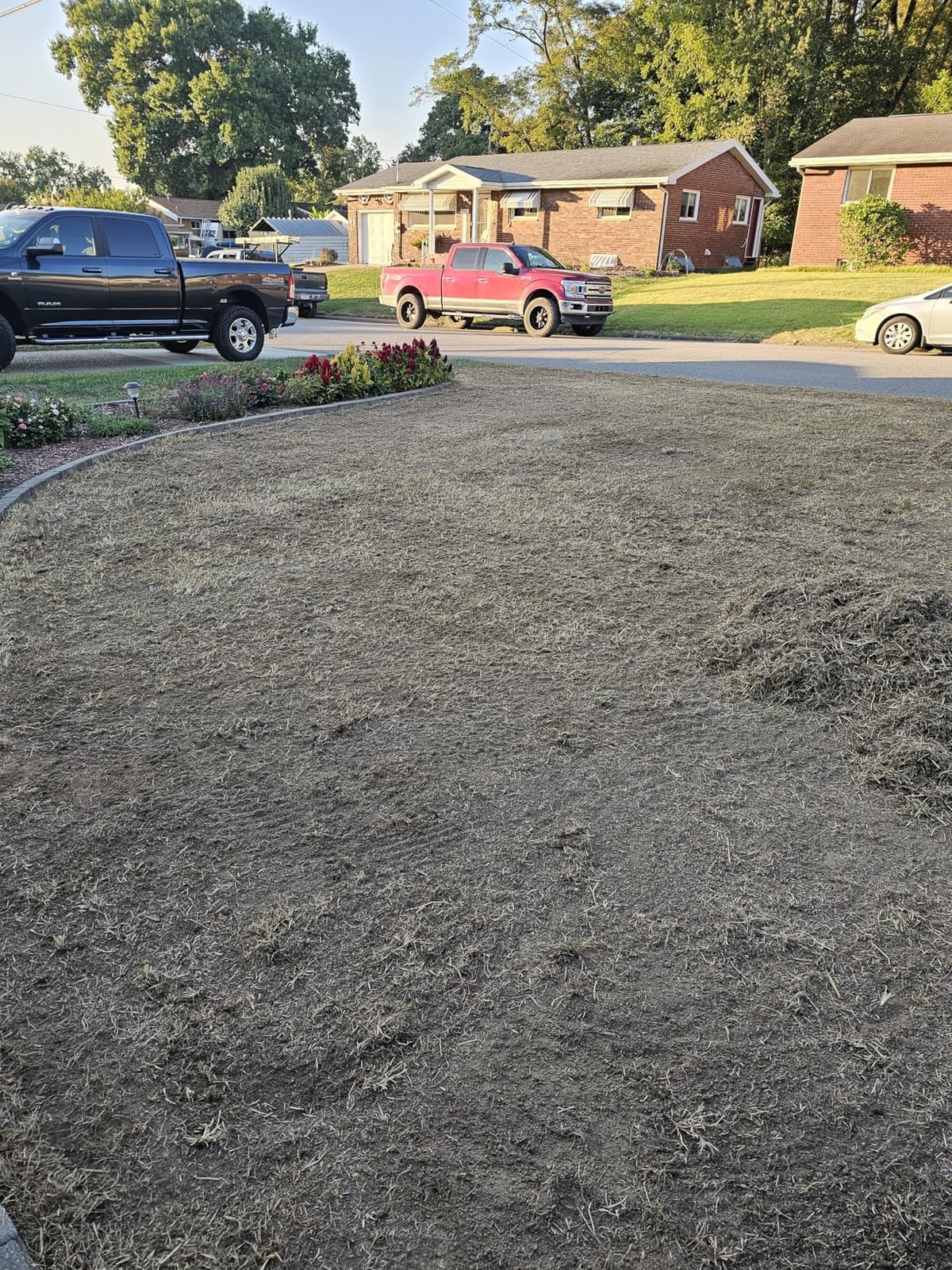 WEN DT1516 16-Inch 15-Amp 2-in-1 Electric Dethatcher and Scarifier with Collection Bag customer photo 2