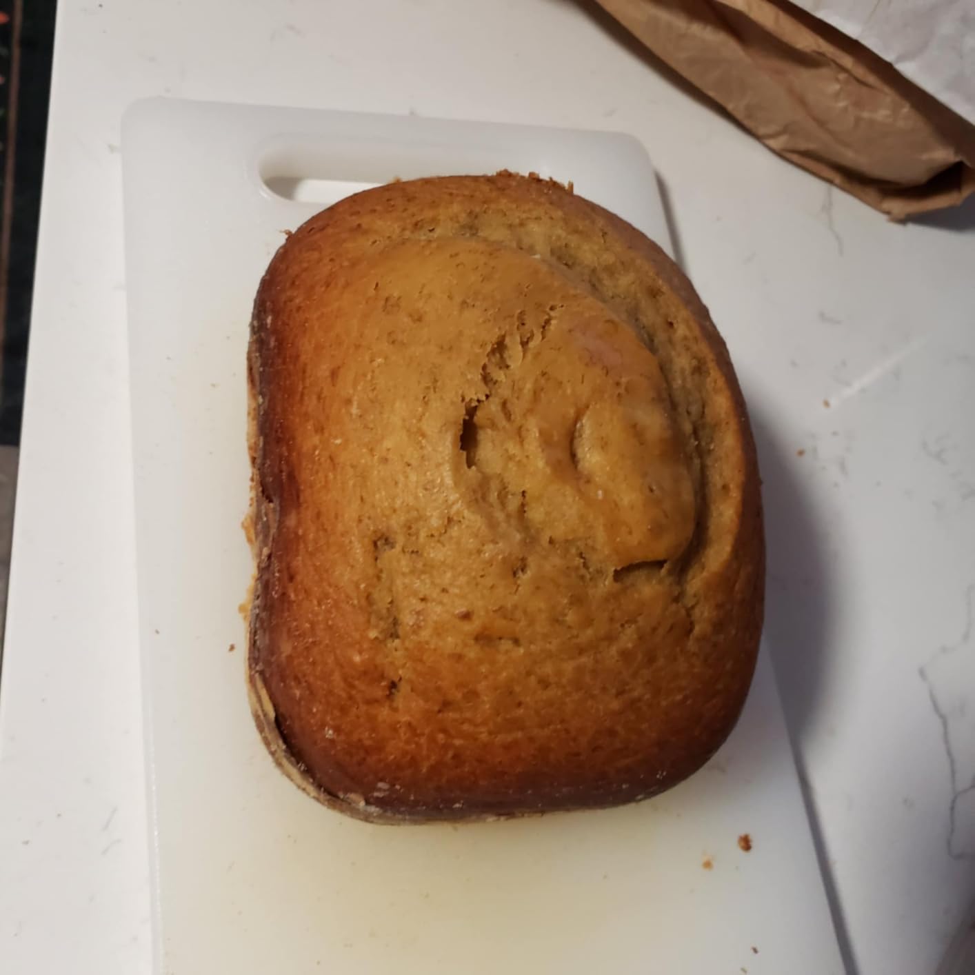 Hamilton Beach Automatic Bread Maker Machine, Digital, 12 Settings + Gluten Free customer photo 2