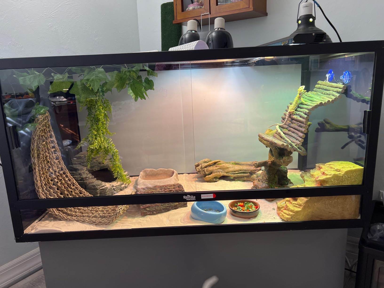 4x2x2 (120 Gallon) Reptile Enclosure V3 PVC Panels, Glass Doors, Lightweight, Easy to Assemble, Heavy Duty Screen, Aluminum Frame customer photo 1