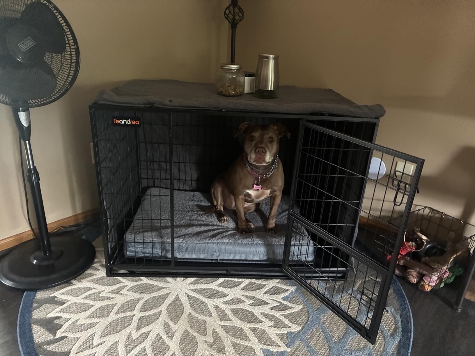 Feandrea 48 Inch Heavy Duty Dog Crate, Metal Escape Proof Dog Kennel with Double Doors and Convenient Feeding Door, Removable Tray, Easy to Clean, XXL Dog Crate for Large and Medium Dogs, Black customer photo 2