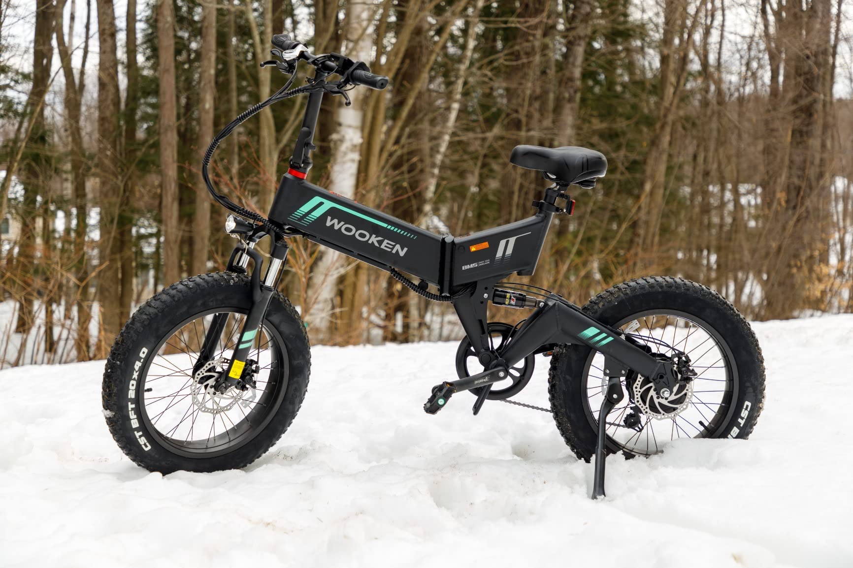 Wooken Electric Bike, 20