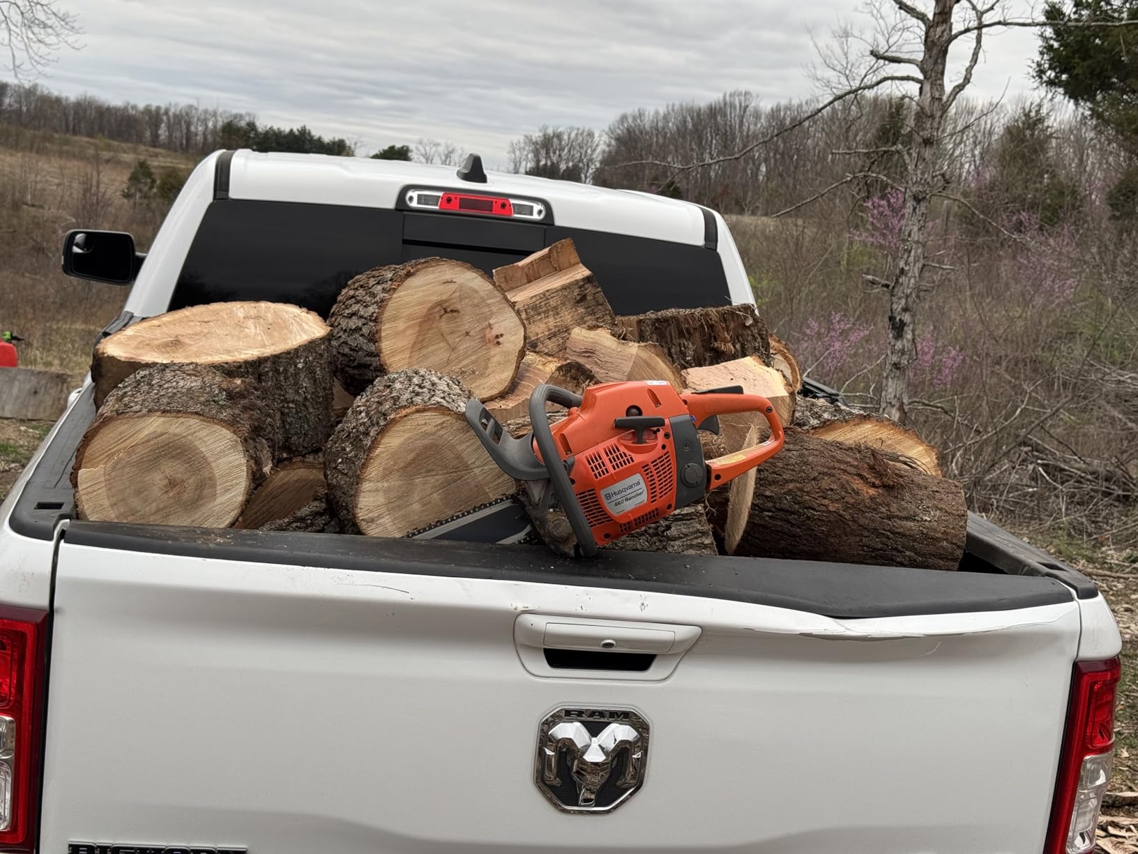 Husqvarna 460 Rancher Gas Powered Chainsaw, 60.3-cc 3.6-HP, 2-Cycle X-Torq Engine, 24 Inch Chainsaw with Automatic Adjustable Oil Pump customer photo 2