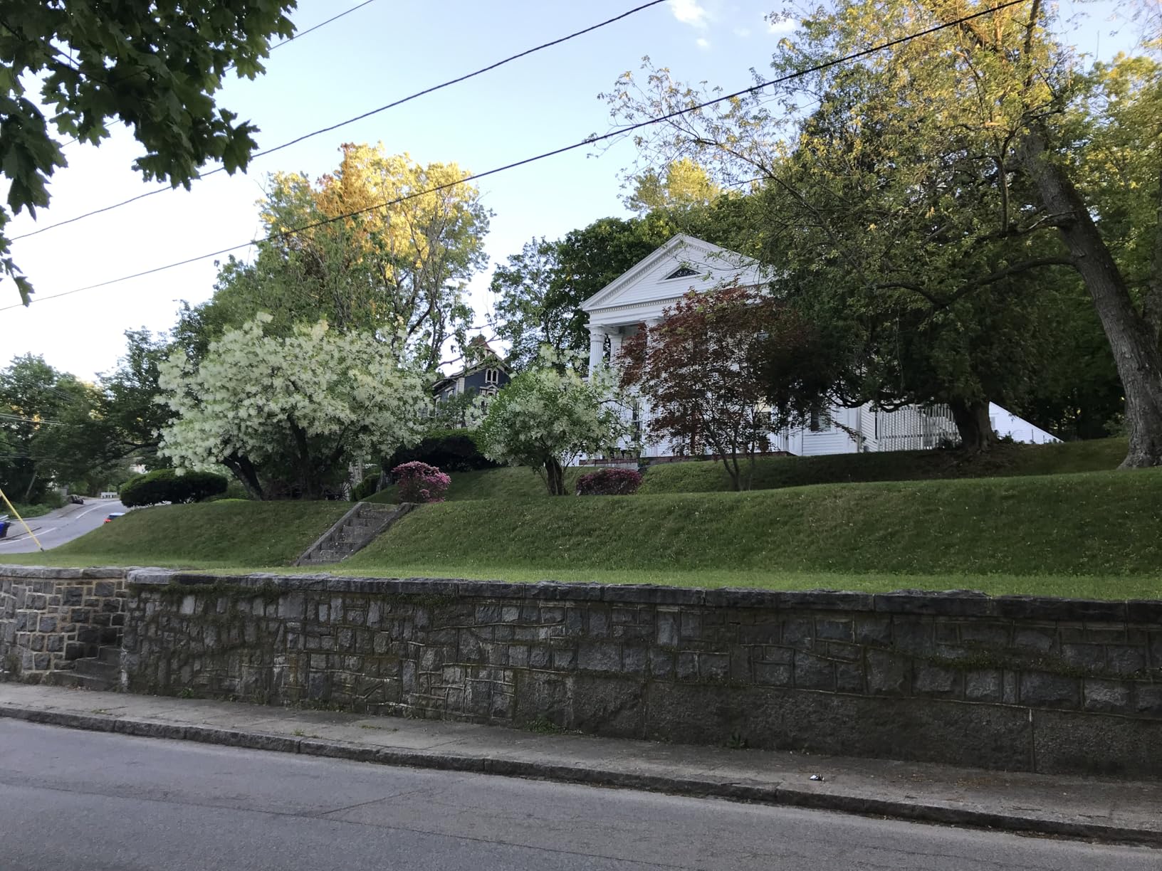 Remote Controlled Lawn Mower| 55 Degree Slope Capability | Hybrid Self-Charging Dual Battery | Brushless Motors | Zero Turn | Adjustable Cutting Deck customer photo 2