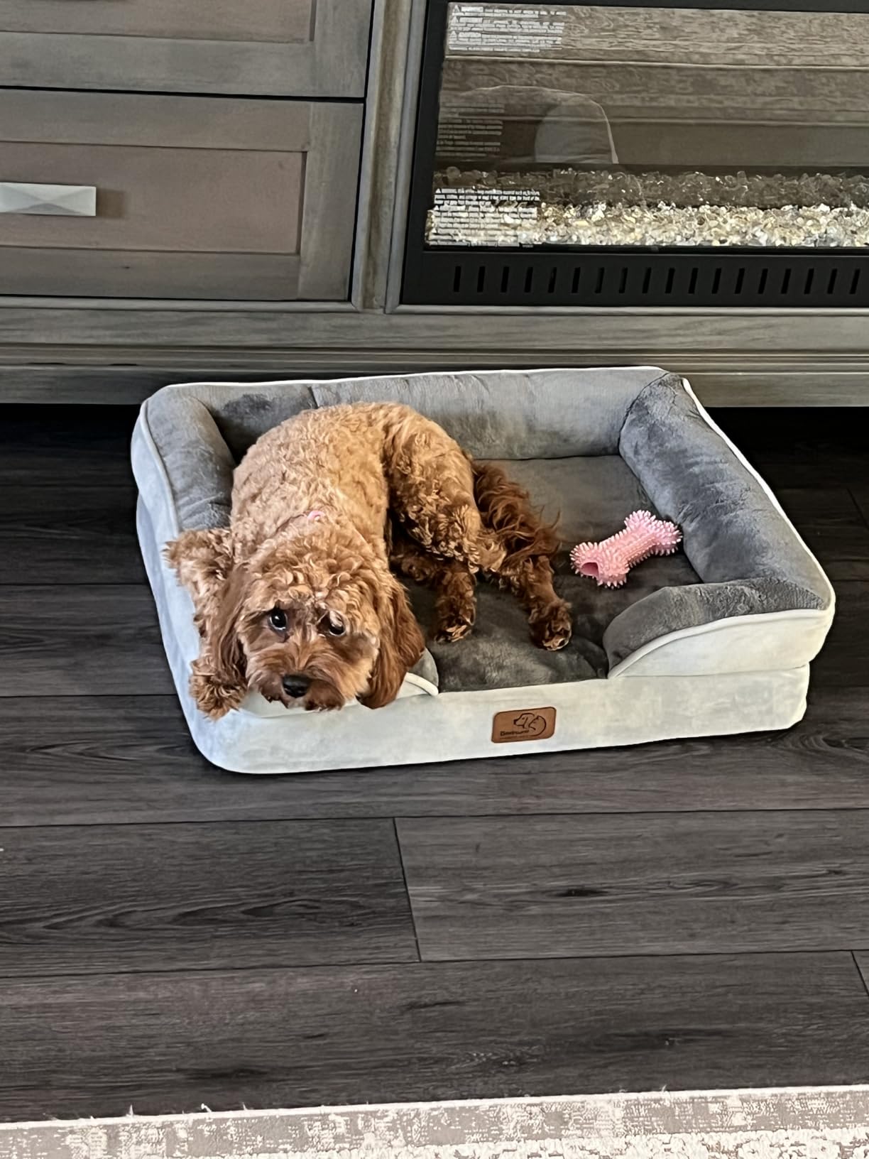 Bedsure L Plus Orthopedic Dog Bed for Large Dogs - Washable Dog Cat Bed Waterproof, L Plus Big Comfort Dogs Couch Sofa with Washable Removable Cover, Pet Bed with Nonskid Bottom, Grey, 38