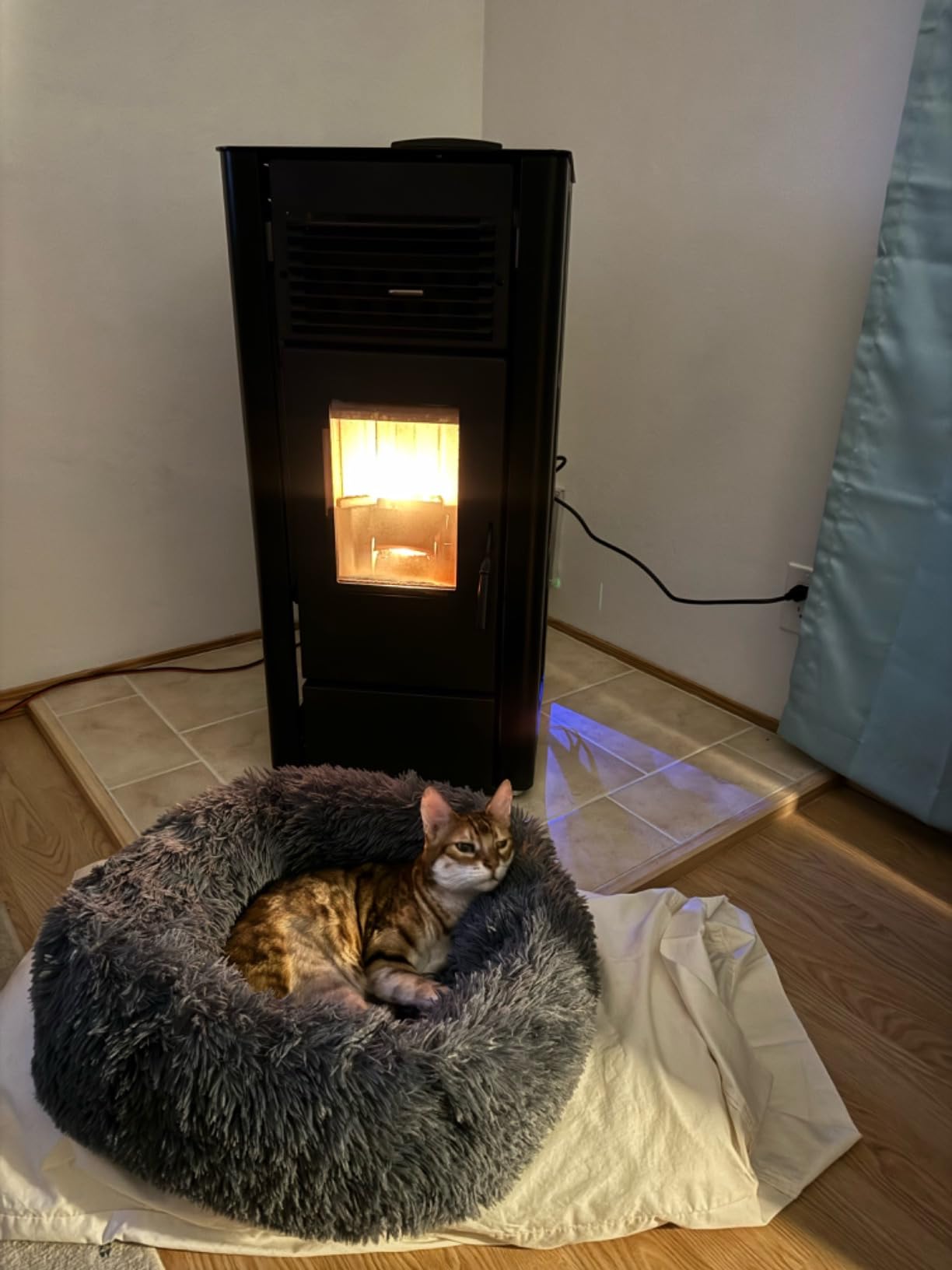 Freedom Stove PS21 Pellet Stove - Freestanding Heater with Wi-Fi, 24V Battery Backup, Stacked Tube Heat Exchanger, Smart Controls, DIY Ready, 5-Year Warranty customer photo 1