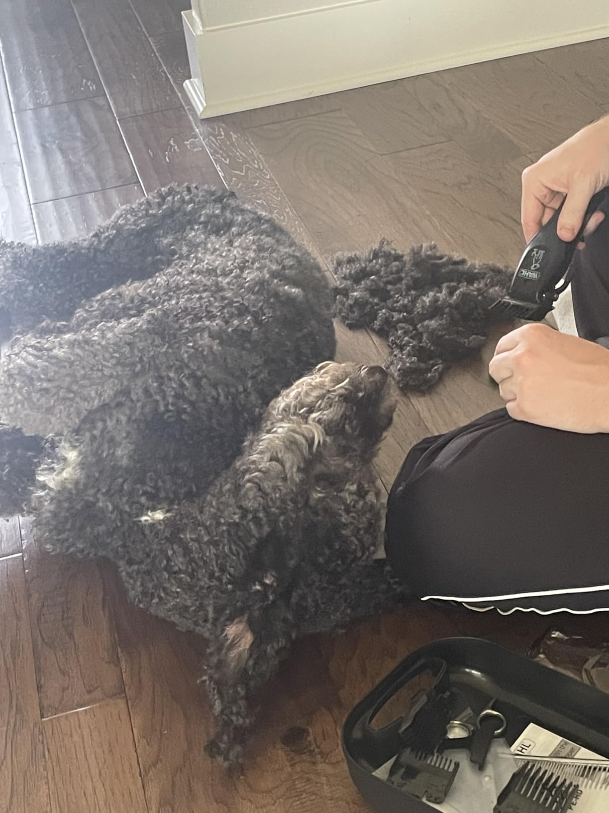 Wahl Power Pro Lithium Ion Rechargeable Cordless Dog Grooming Clipper Kit | Heavy Duty Cordless Electric Dog Clippers For Grooming Thick Coats At Home - Model 3024675 customer photo 1