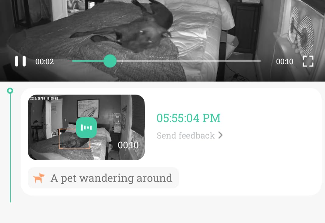 Pet Camera, 2K HD Dog Camera with Phone APP, 360° Pan/Tilt View Puppy Cam, One Click Call for Baby Monitor, MagivPix Night Vision, Motion Tracking Alarm with Cloud/Local SD, Home Indoor Security Cam customer photo 1