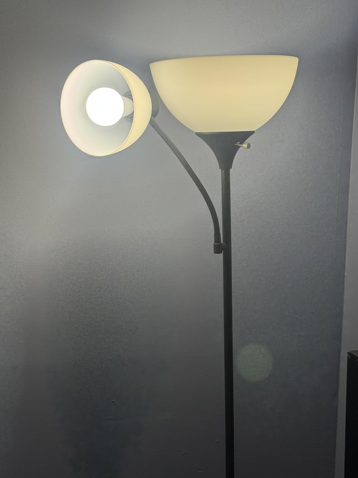 GERGO Led Floor Lamp, Super Bright 11W+7W 2100LM Torchiere Floor Lamps for Living Room, Stepless Adjustable 4 Color Temperatures 3000K-6000K with Remote Control for Bedroom (Matte Black) customer photo 1