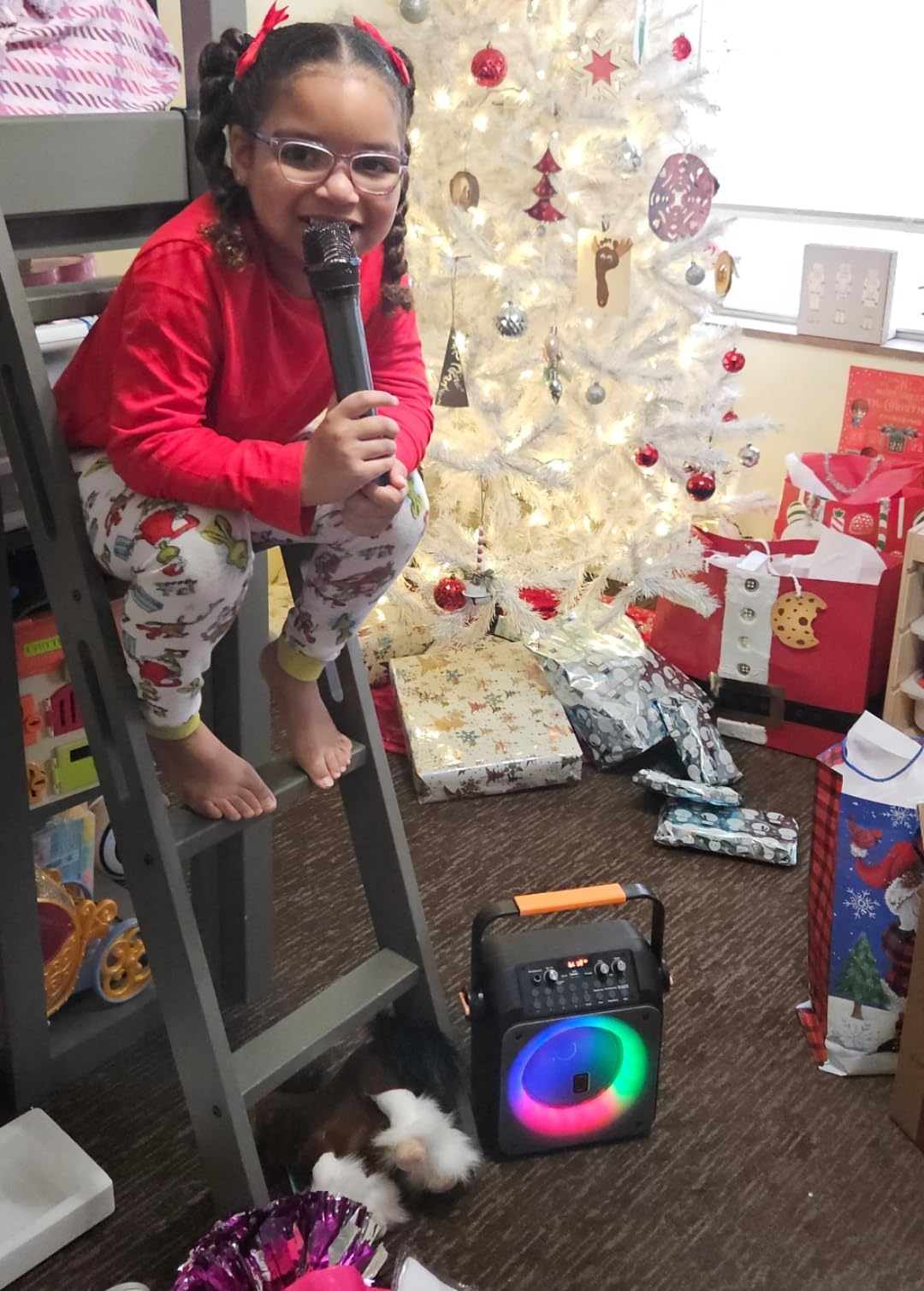 Karaoke Machine with 2 Wireless Microphones, Big Bluetooth Party Speaker with 500W Peak Power for Adults, PA System with Rolling Wheels and Trolley, Perfect for Outdoor, Home Party, Gatherings customer photo 1