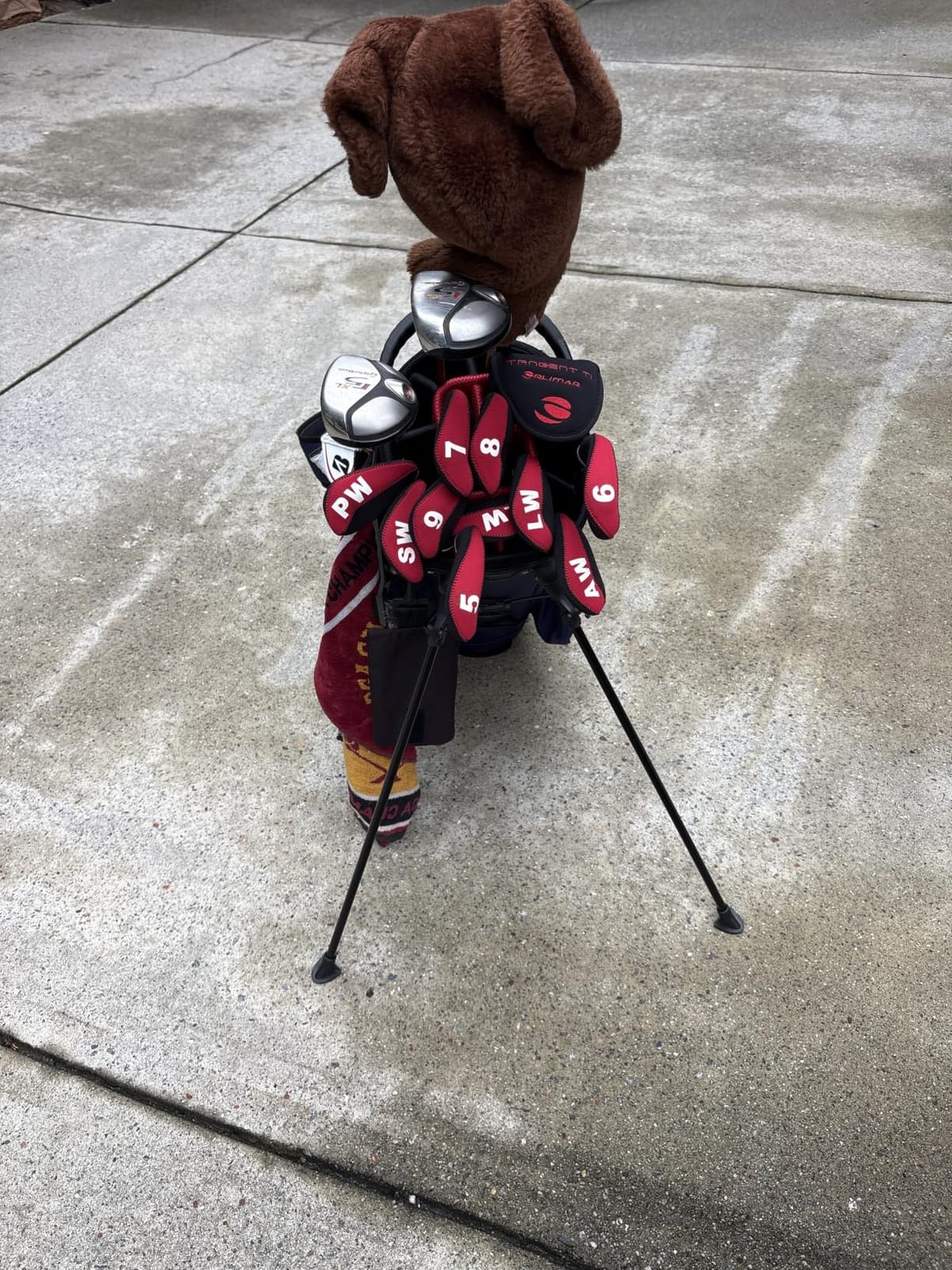uniHimal 14-Way Golf Stand Bag Lightweight, Magnetic Pocket | Full-Length Dividers, Multiple Pockets, Stable Stand, Portable Handles, Dual Detachable Straps, Cooler Pocket customer photo 1