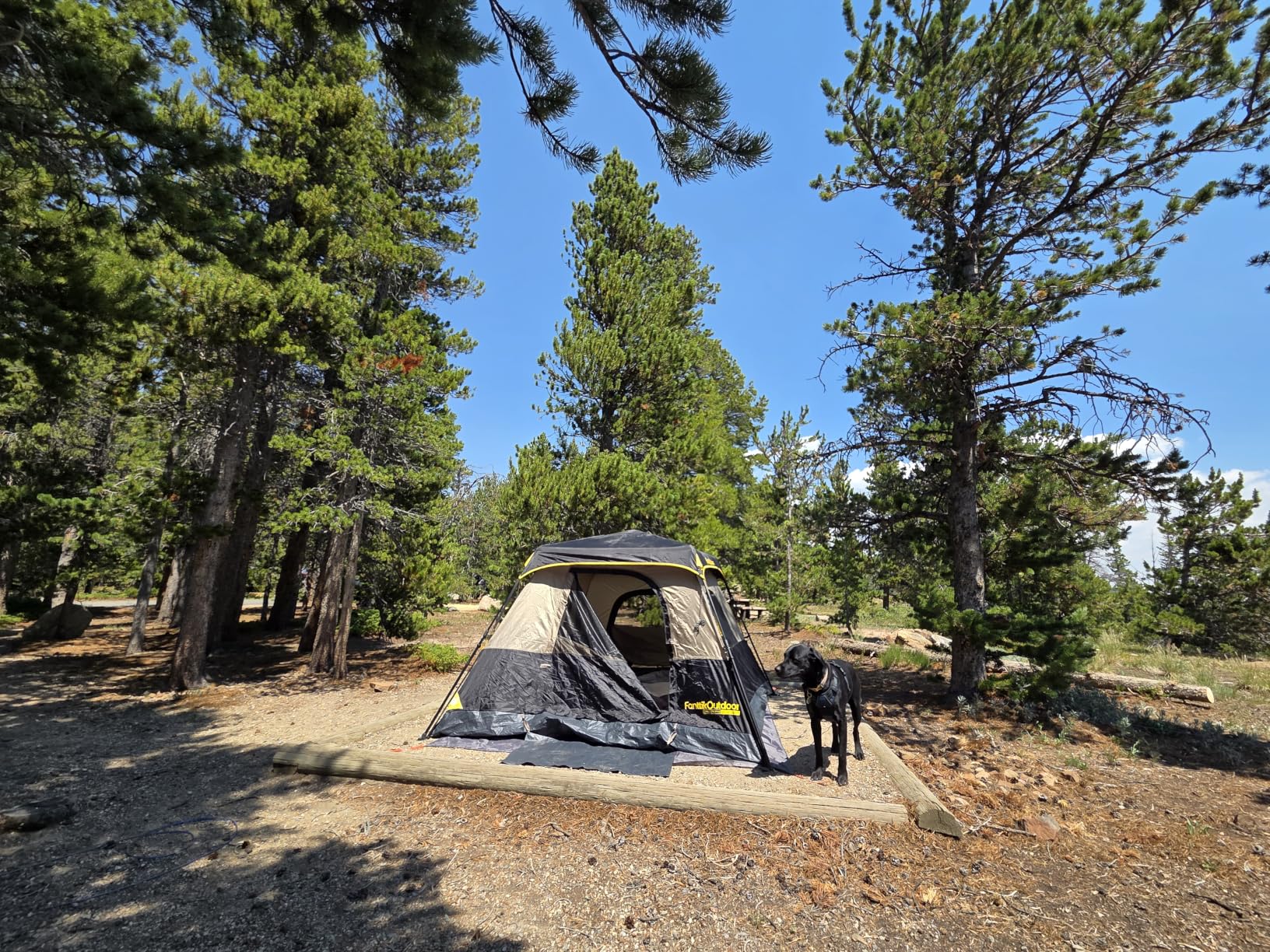 FanttikOutdoor 4/6/8/10 Person Instant Tent for Camping Setup in 60s customer photo 1
