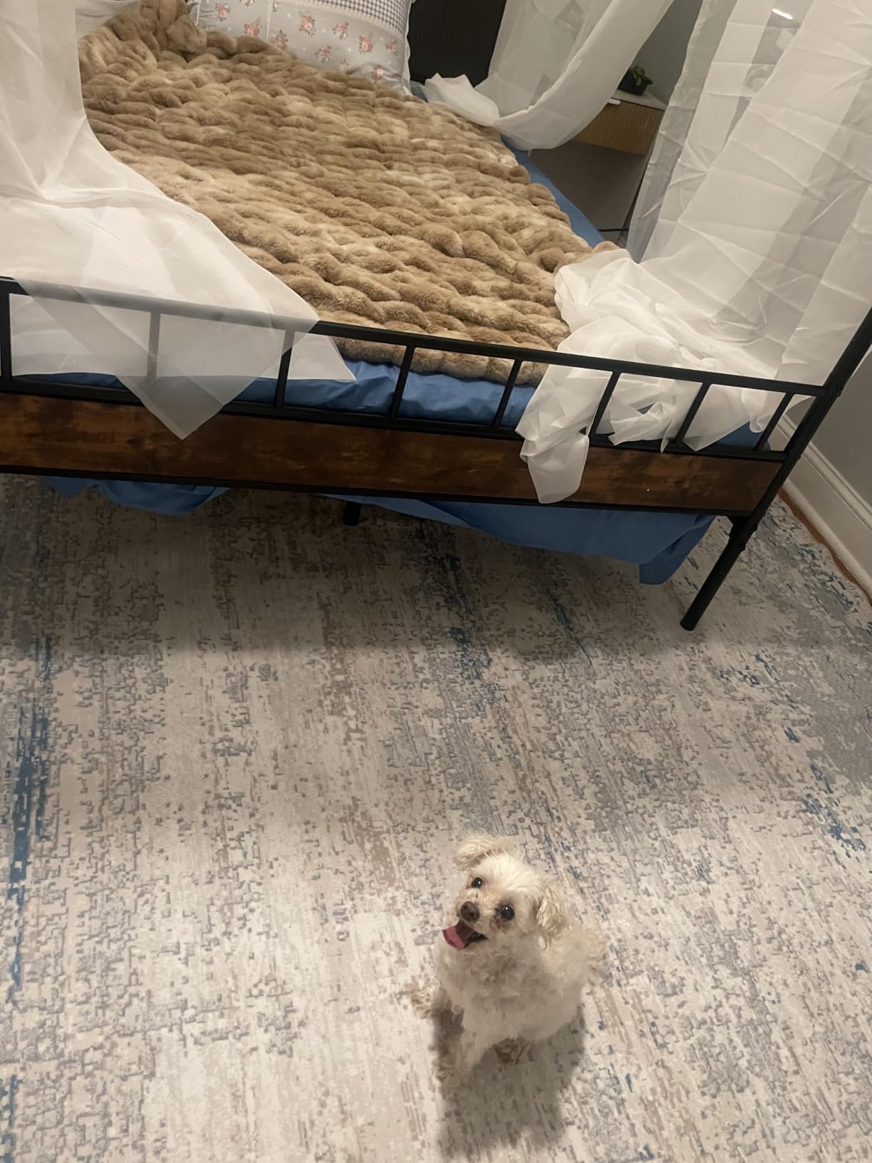 LIKIMIO Canopy Bed Frame Full, Storage Headboard with Charging Station, Platform Bed with 4 Removable Posts, Noise Free, No Box Spring Needed, Vintage Brown customer photo 1