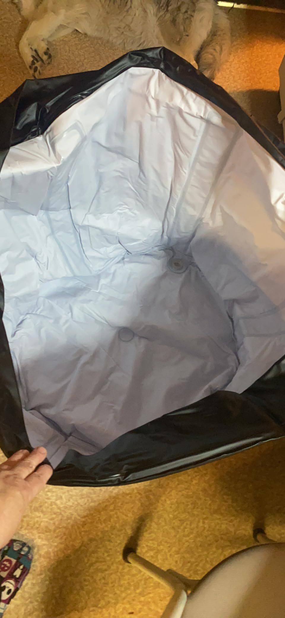 Wilder XL Ice Bath Cold Plunge - 86 Gallon Portable Ice Bath Tub for Recovery and Cold Water Therapy - Triple Insulated customer photo 1