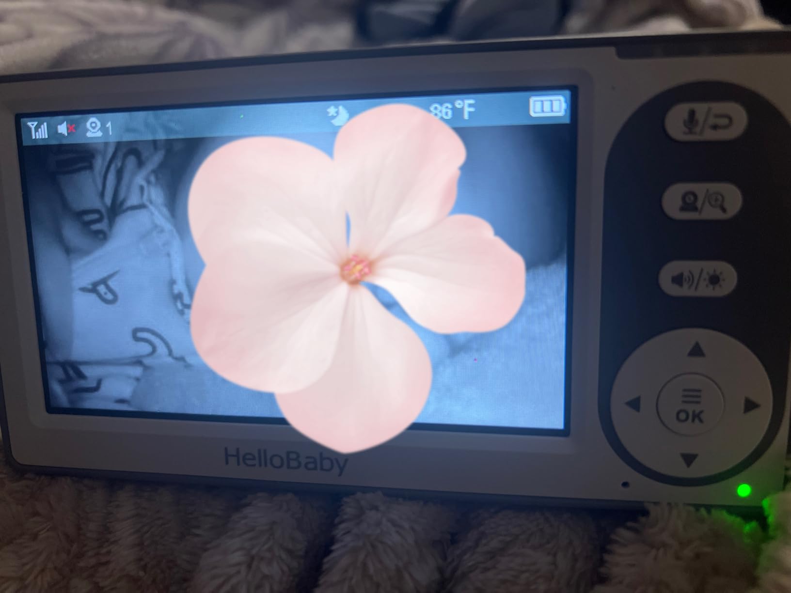 HelloBaby 4.3