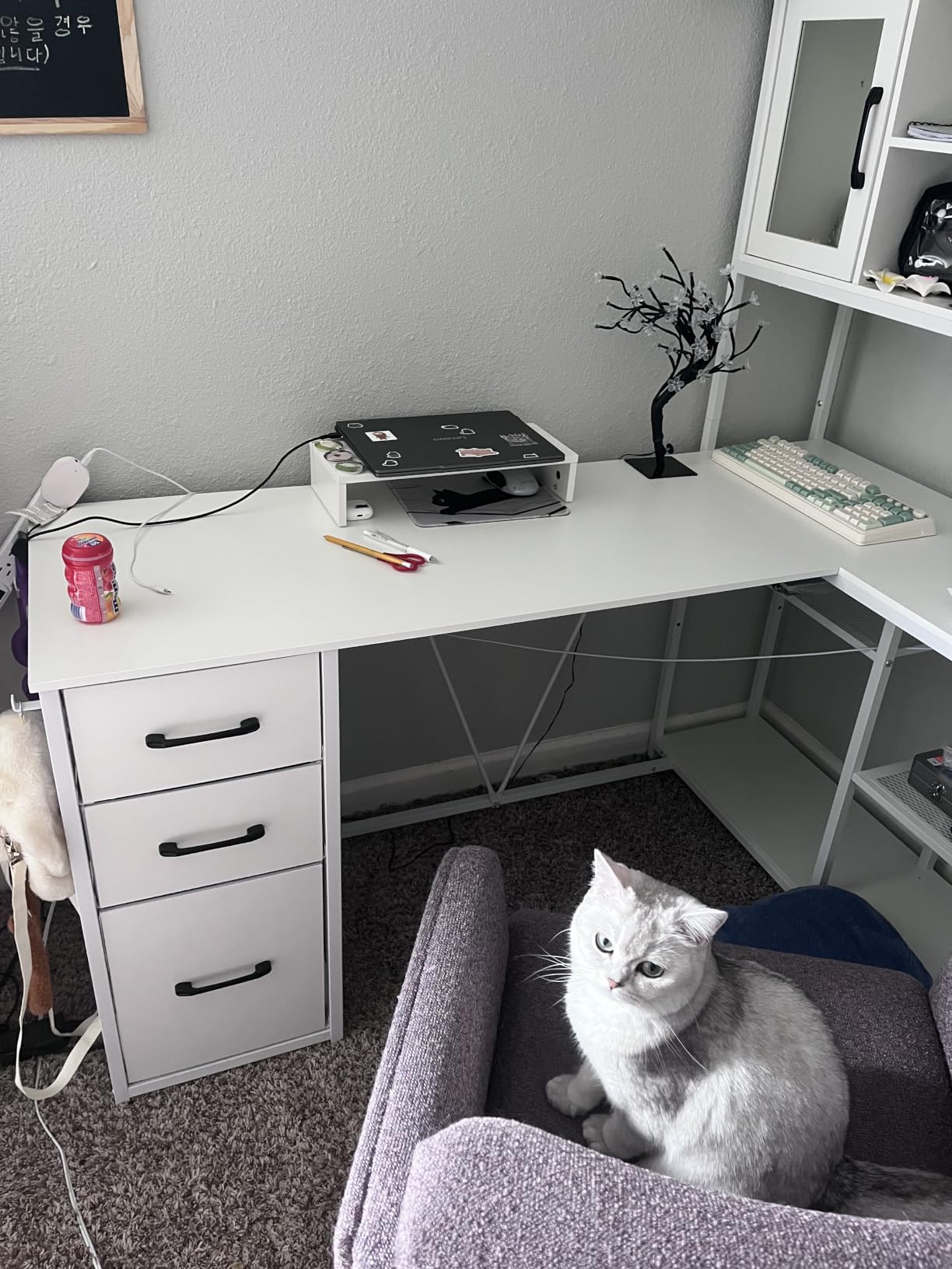 SEDETA 58'' L Shaped Computer Office Desk with 3 Drawers and Bookshelf, L Shaped Corner Desk with Storage Shelves and LED Light for Home Office, Gaming, Rustic Brown customer photo 2