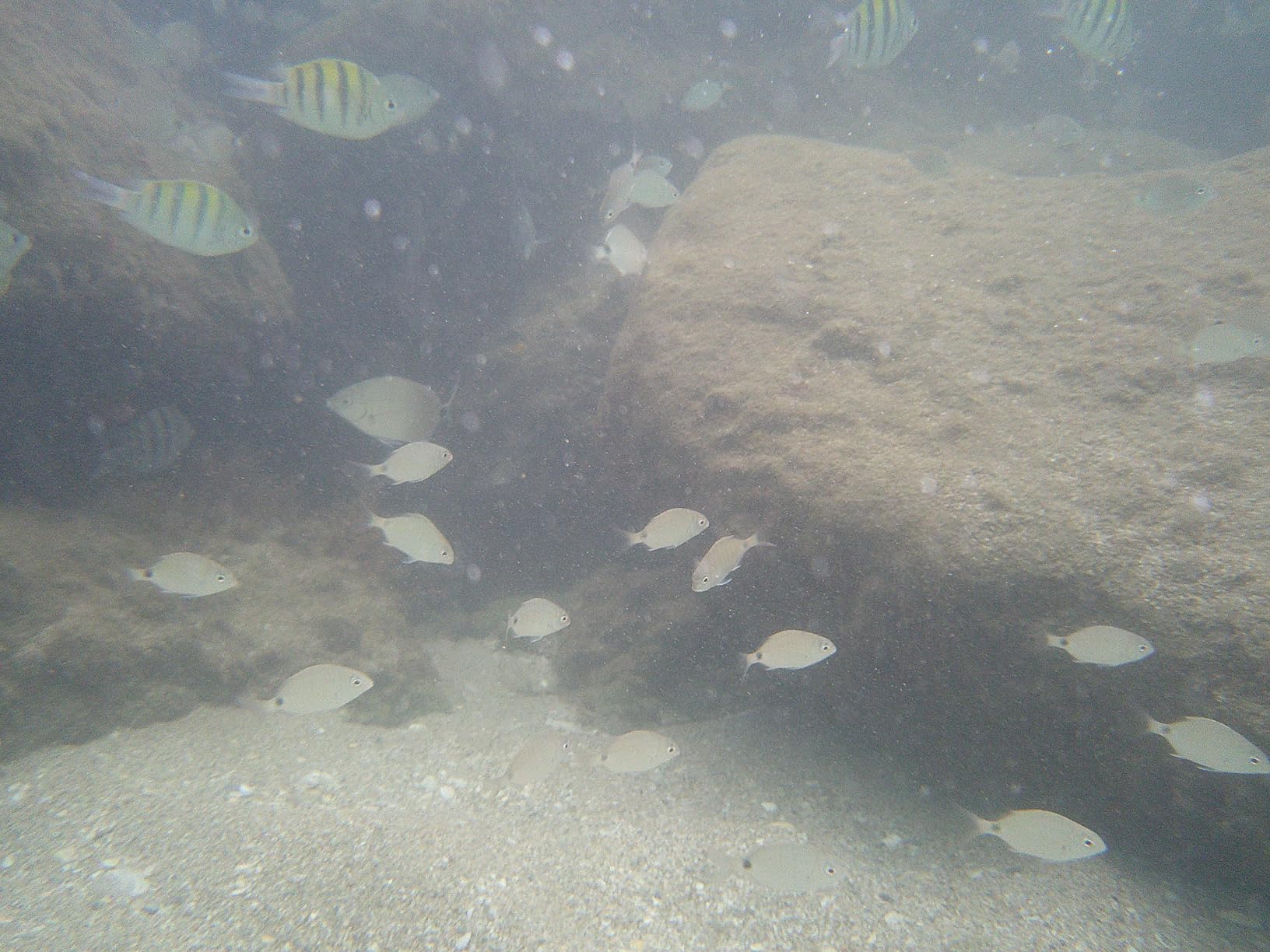 Underwater Camera 4K 48MP Autofocus Selfie Dual Screen Waterproof Camera with Floating Strap and 32GB Card, 17FT Compact Waterproof Digital Camera, Fill Light Underwater Camera for Snorkeling customer photo 1