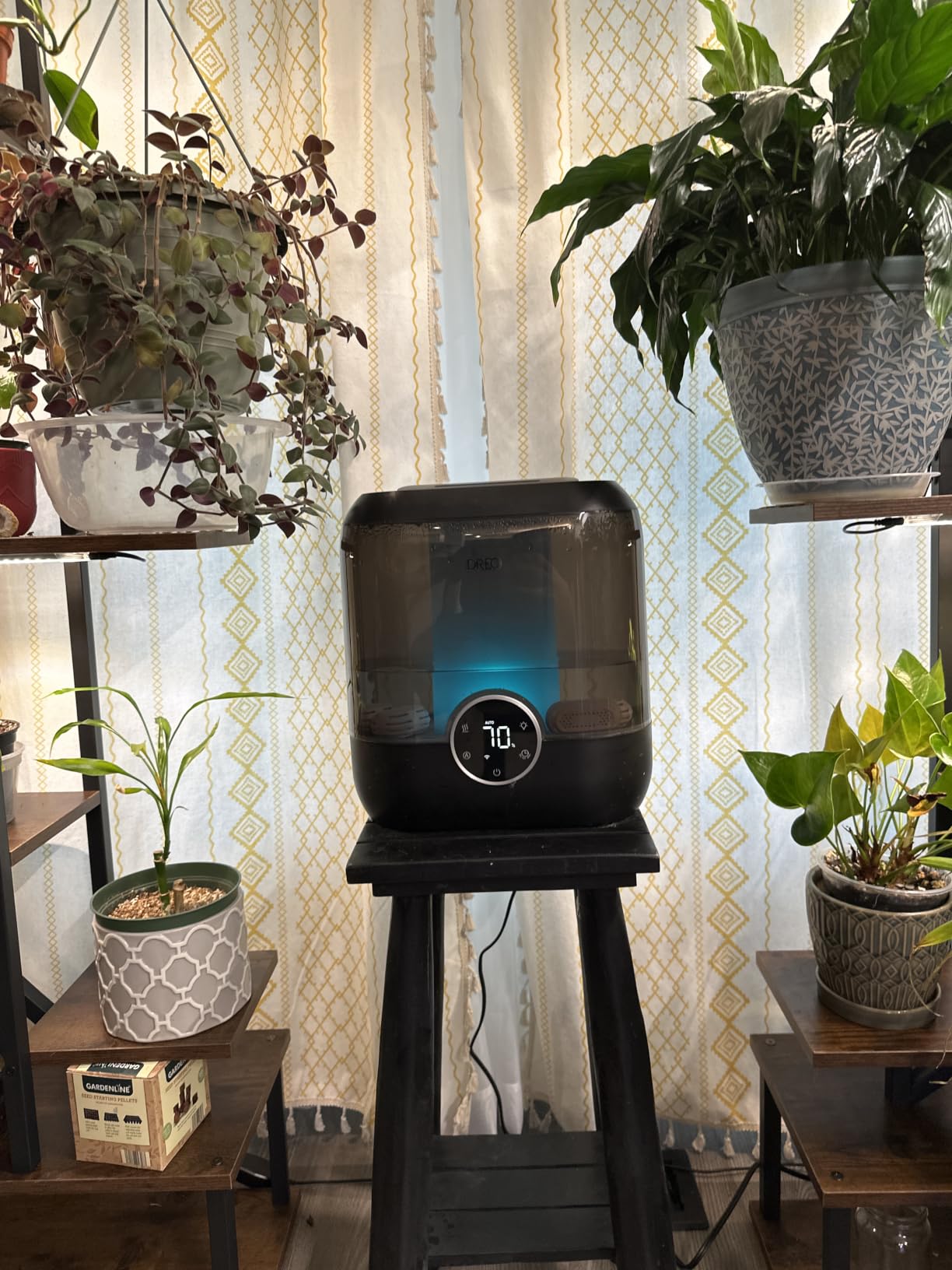 DREO 6L Smart Humidifiers for Bedroom Large Room, 60H Runtime, Quiet 28dB, Top Fill Supersized Cool Mist Humidifier for Plants Indoor Home, App/Touch/Voice Control, Black customer photo 1