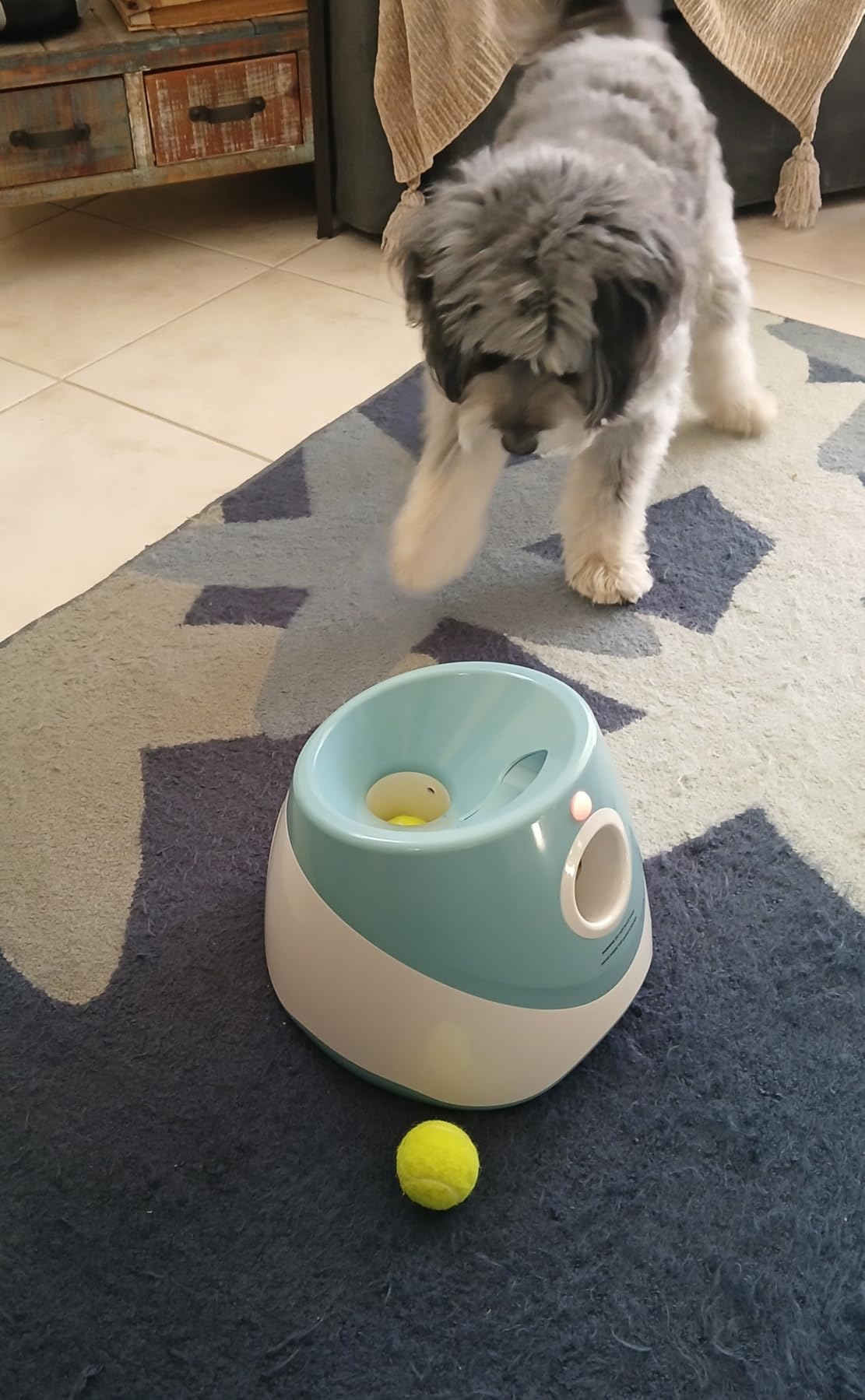 MEKAPLE Automatic Dog Ball Launcher, Dog Ball Thrower Machine with 10-30Ft 3 Launching Distance, Interactive Toys for Small Dogs Indoor & Outdoor with 15 Mini Tennis Balls (2 inch) -Blue customer photo 2