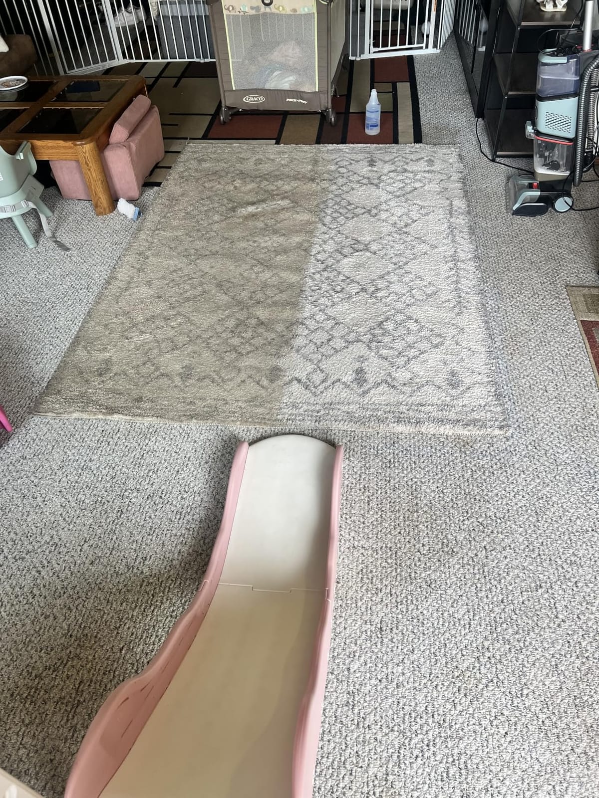 Shark CarpetXpert Upright Carpet & Built-in Stain Cleaner, 3 Tools, EX151 | For Carpet, Upholstery & Rugs, Dirt, Grime & Odor Remover, Deep Clean Essential Formula, 3.5