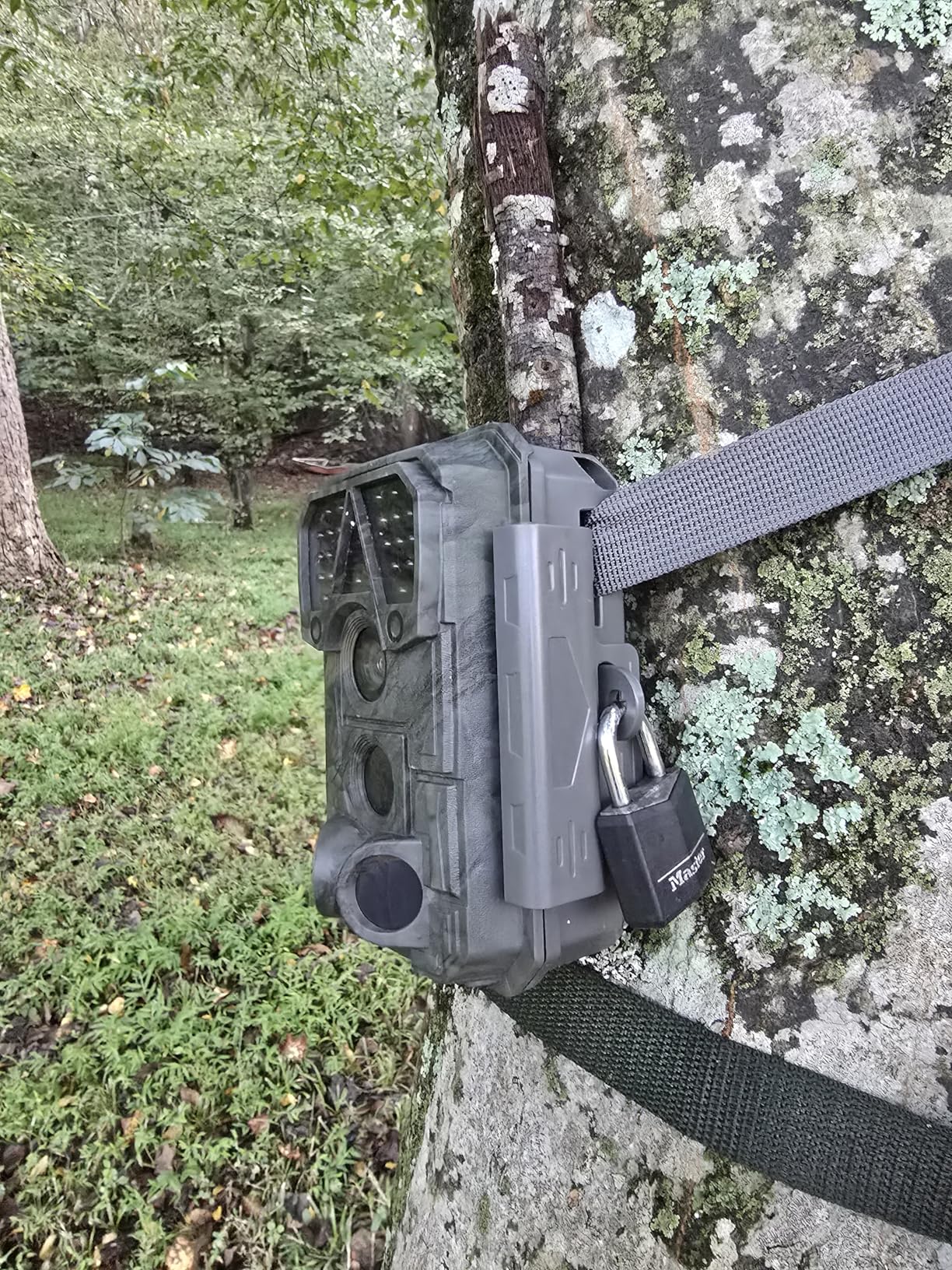 Meidase P70 (Non-Cellular, Non-WiFi) Trail Camera, 64MP 1296p, Game Cameras with No-Glow IR Night Vision, Motion Activated, Waterproof for Wildlife Deer Cams, Hunting customer photo 1