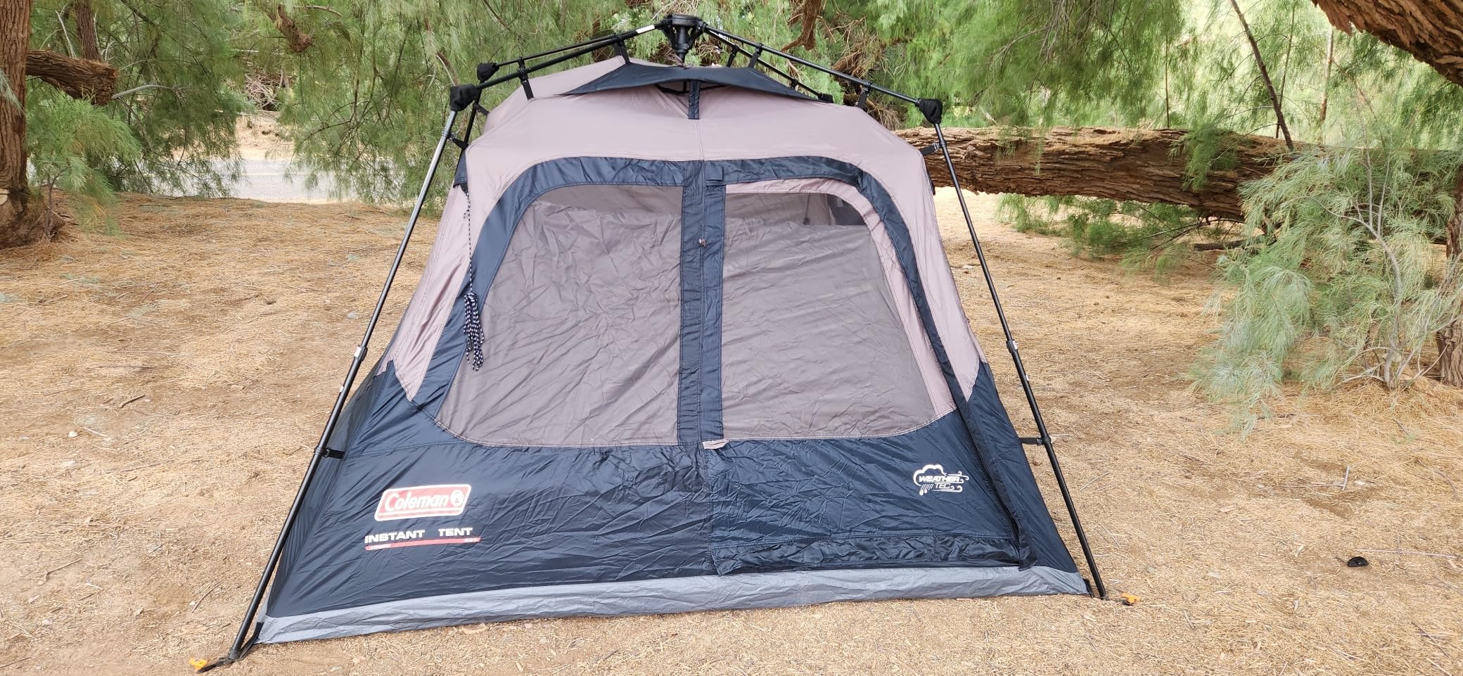 Coleman 4/6/8/10 Person Instant Camping Tent with 1-Minute Setup, Large Family Tent with Pre-Attached Poles, Air Vent, & Carry Bag customer photo 2
