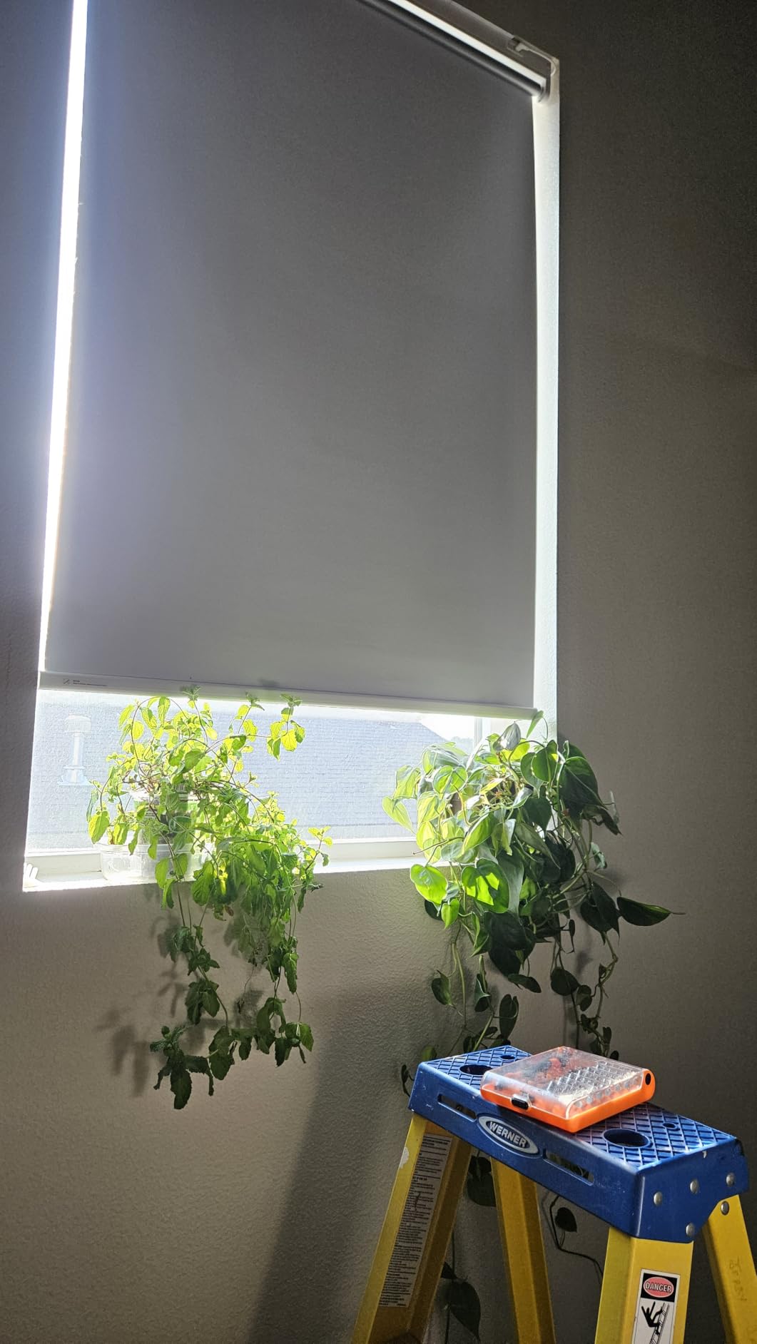 Motorized Blackout Smart Roller Blinds with Remote Control & Solar Panel - Automatic Electric Shades for Windows, Compatible with Alexa - White,34