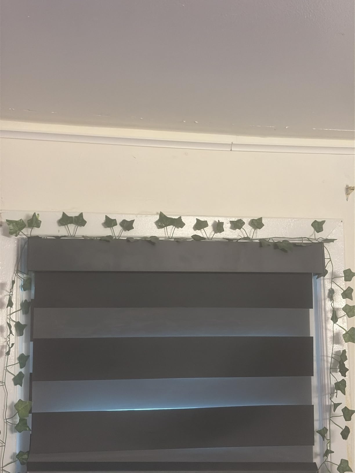 Motorized Zebra Blinds with Remote, Smart Dual Layer Shades Compatible with Alexa, Automatic Room Darkening Horizontal Blinds for Indoor Windows, Custom Size (Room Darkening Luxury Coffee) customer photo 1