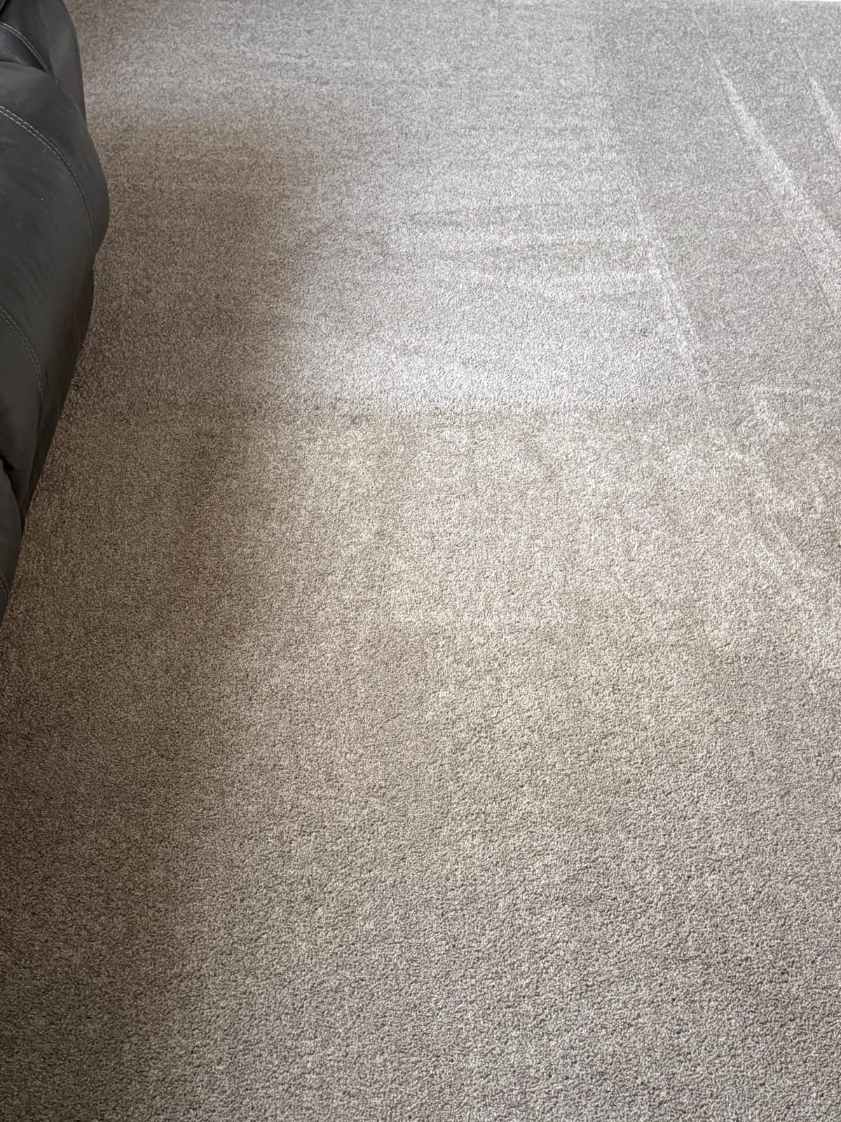 BISSELL TurboClean Upright Carpet Cleaner, OXY Formula, 3952 customer photo 2