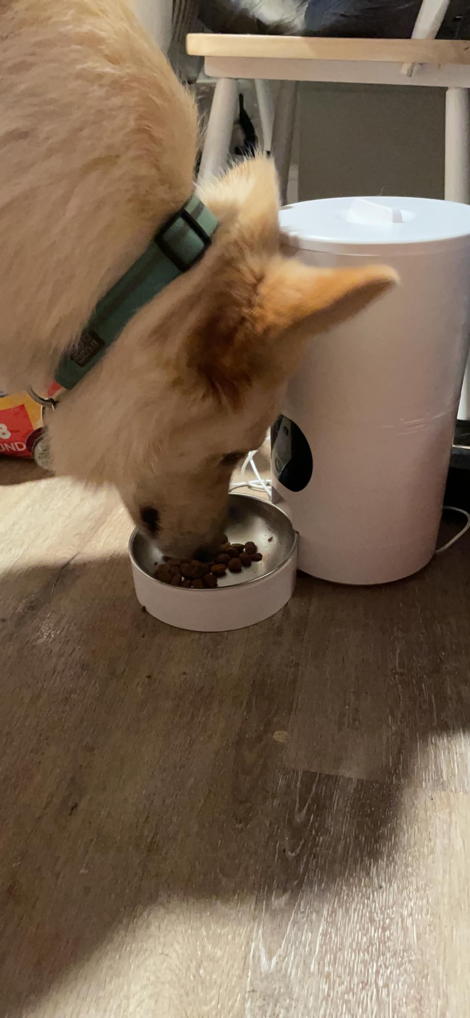 Yakry Automatic Dog Feeder with Camera - 8L/33 Cups Smart Pet Feeder for Small/Medium Dogs & Cats, 5GHz/2.4GHz WiFi App Control, 1080P HD Night Vision, 2-Way Audio, Timed Dry Food Dispenser Indoor customer photo 2