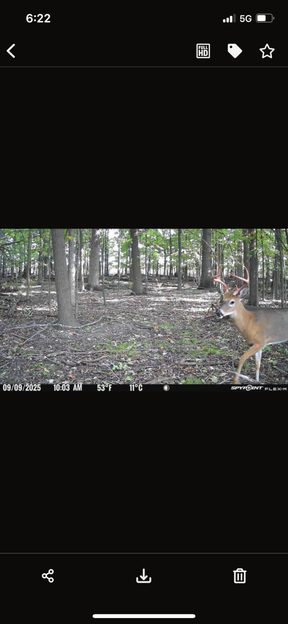 SPYPOINT Flex-M Cellular Trail Camera - Best Hunting Accessories, No WiFi Needed, Night Vision, Motion Activated, Dual-Sim LTE, IP65 Water-Resistant Game Camera, 28MP Photos, 720p Videos + Sound (3) customer photo 1