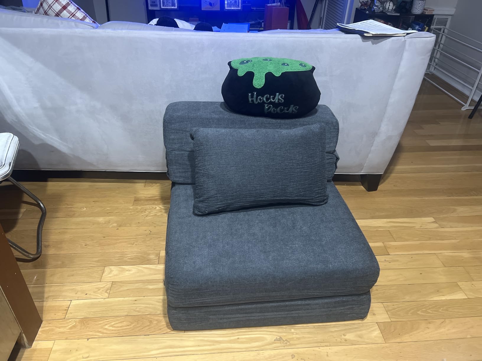 Folding Sofa Bed, Convertible Sleeper Chair with Pillow, Fold Out Chair Bed, High-Density Foam Floor Couch Bed, Foldable Futon Couch Lounge for Living Room (Grey, Single) customer photo 1