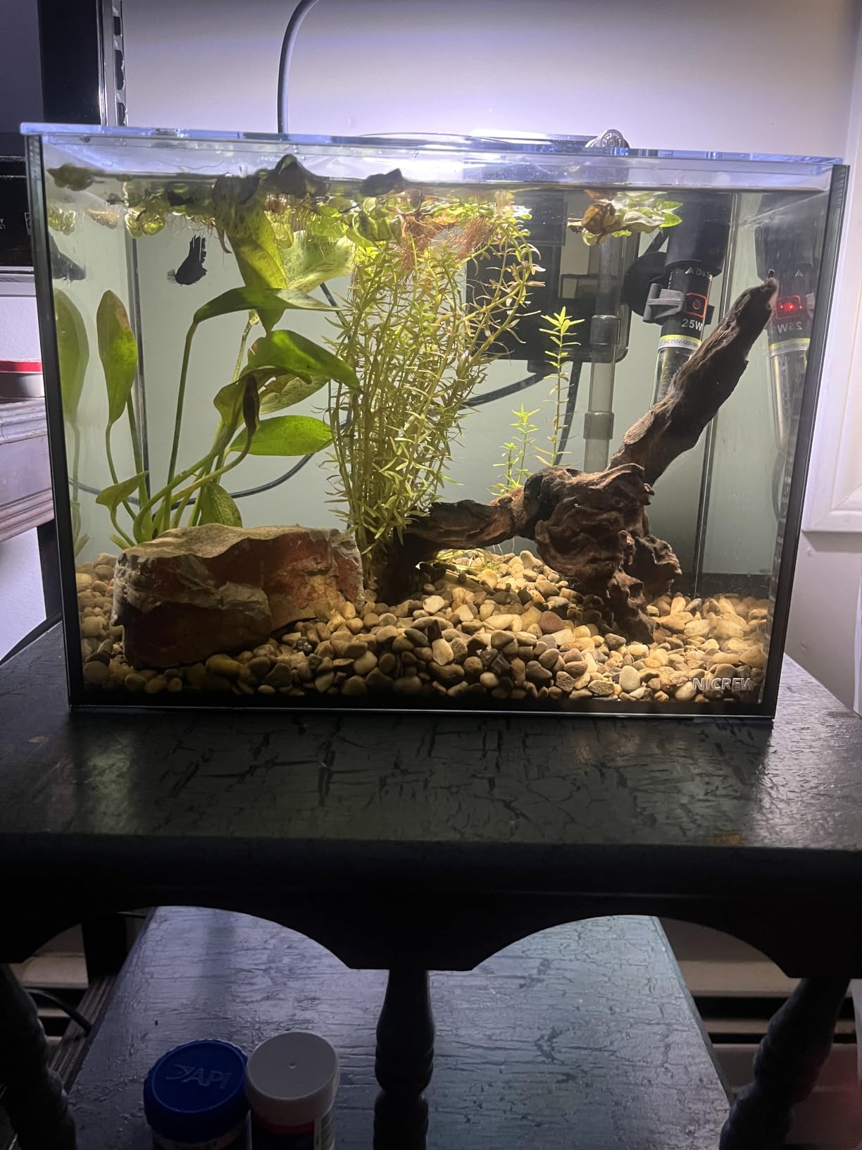 NICREW 2.5 Gallon Nano Nature Aquarium Kit, Ultra-Clear Rimless Desktop Fish Tank with Light and Filter customer photo 1