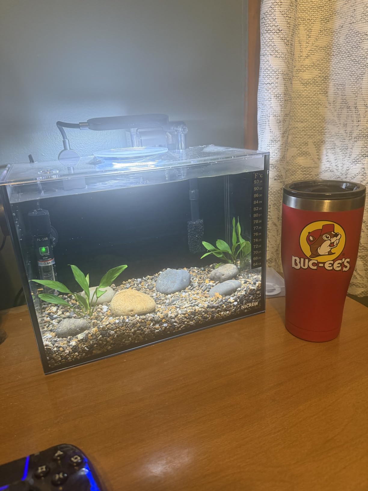 NICREW 2.5 Gallon Nano Nature Aquarium Kit, Ultra-Clear Rimless Desktop Fish Tank with Light and Filter customer photo 2