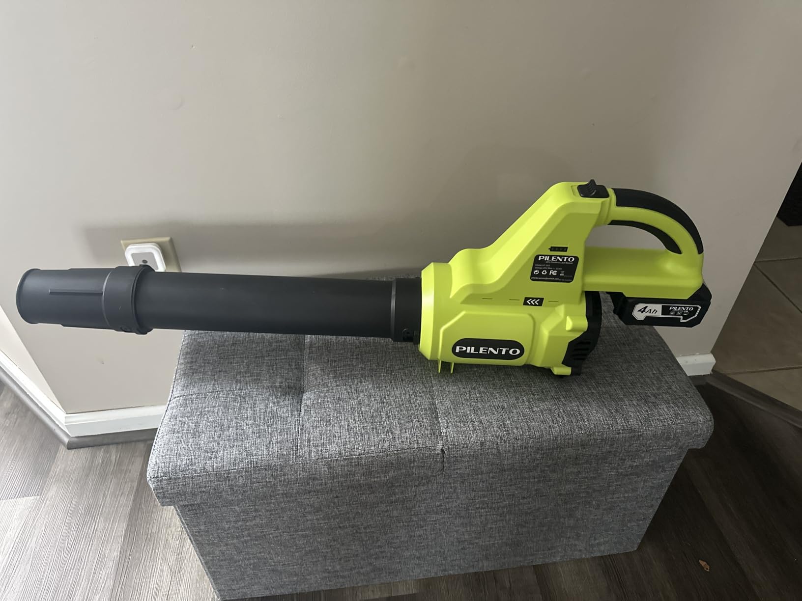 Cordless Leaf Blower with 2 x 4.0Ah Batteries and Fast Charger, 20V customer photo 1