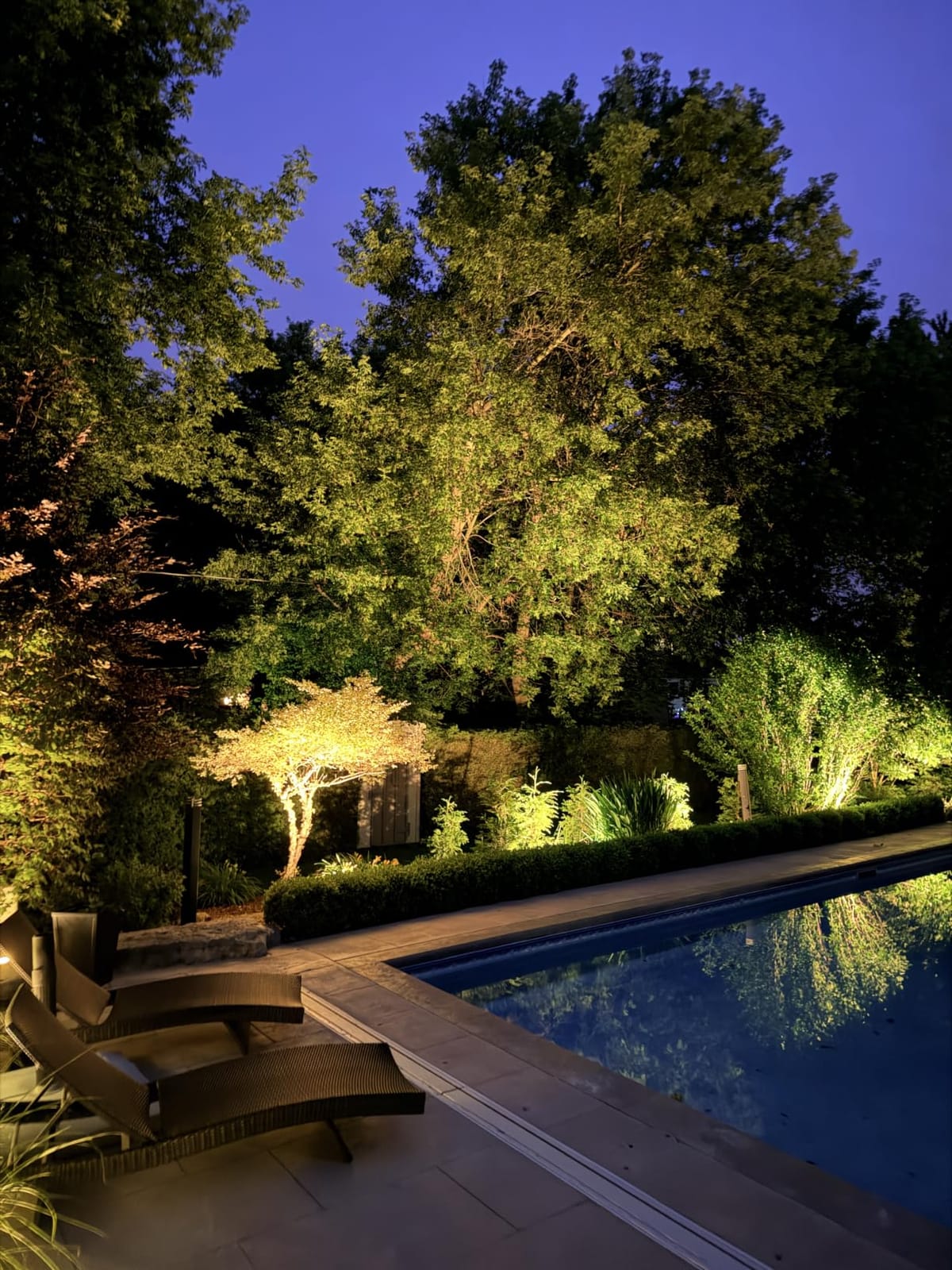 SUNVIE All-in-One LED Low Voltage Landscape Lighting Kit Dusk to Dawn 12PCS | 3000K Landscape Lights with Transformer Connectors 100FT Wire, Waterproof Low Voltage Landscape Lights for Garden Yard House customer photo 1