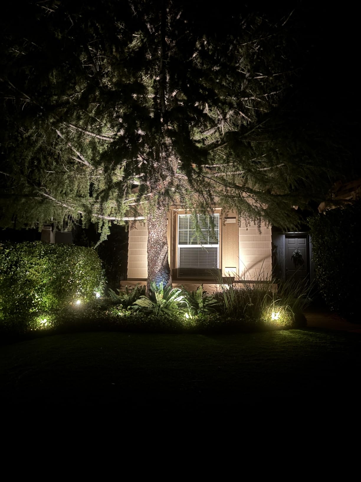 SUNVIE All-in-One LED Low Voltage Landscape Lighting Kit Dusk to Dawn 12PCS | 3000K Landscape Lights with Transformer Connectors 100FT Wire, Waterproof Low Voltage Landscape Lights for Garden Yard House customer photo 2
