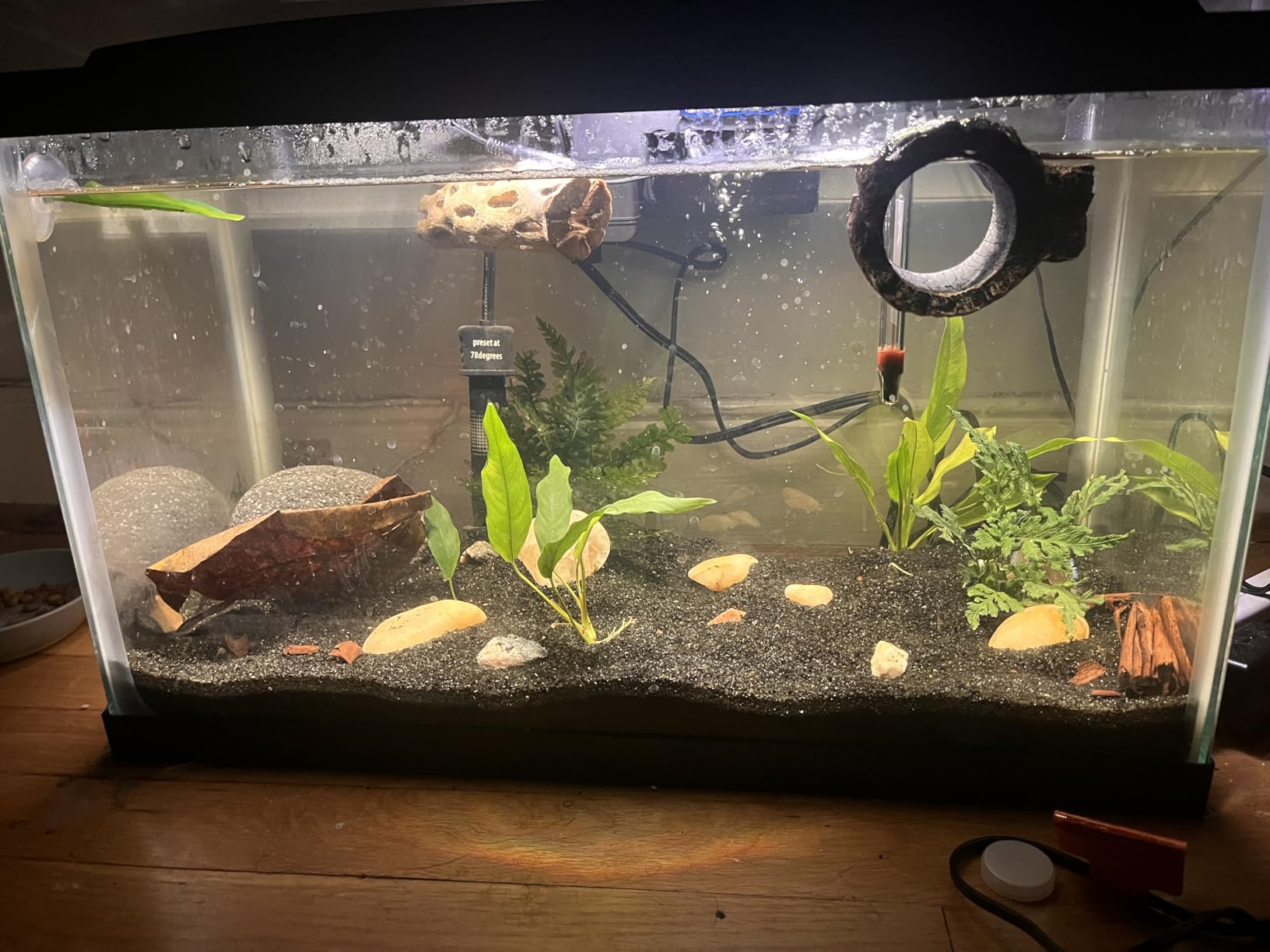 Aqueon Aquarium Starter Kit with Smart Clean Filtration and LED Lighting, 10-Gallon customer photo 2